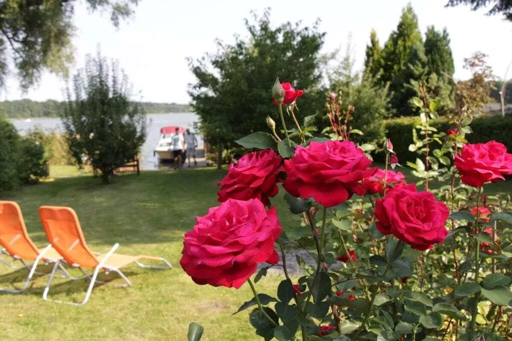 189373-Gardens summer