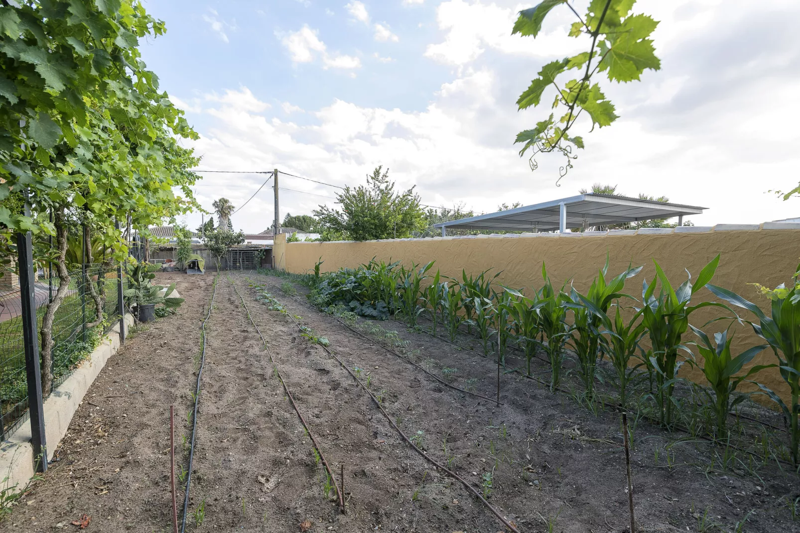 Rincon De La Huerta-Areas summer 1km