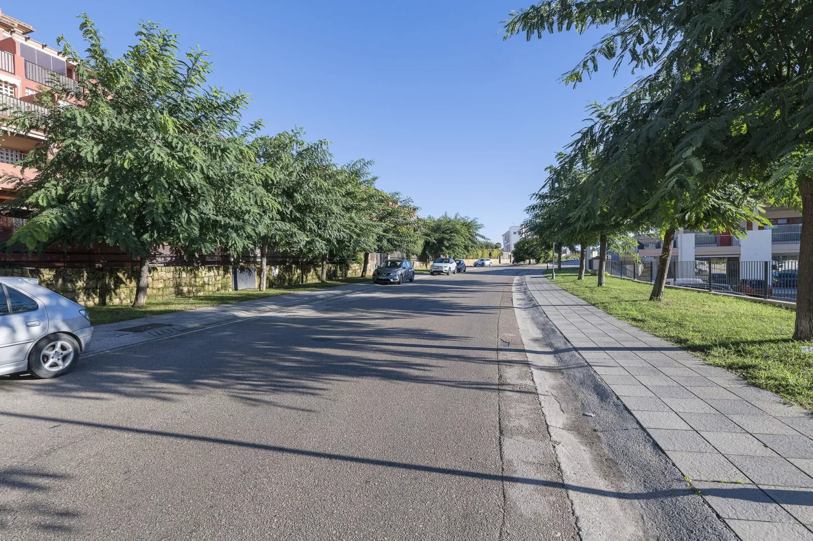 Spikes-Areas summer 1km