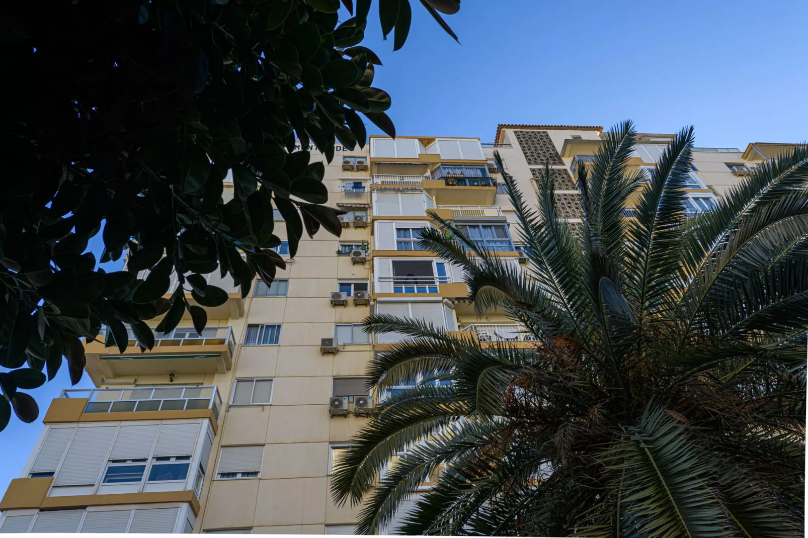 Algarrobo Costa-Exterior summer