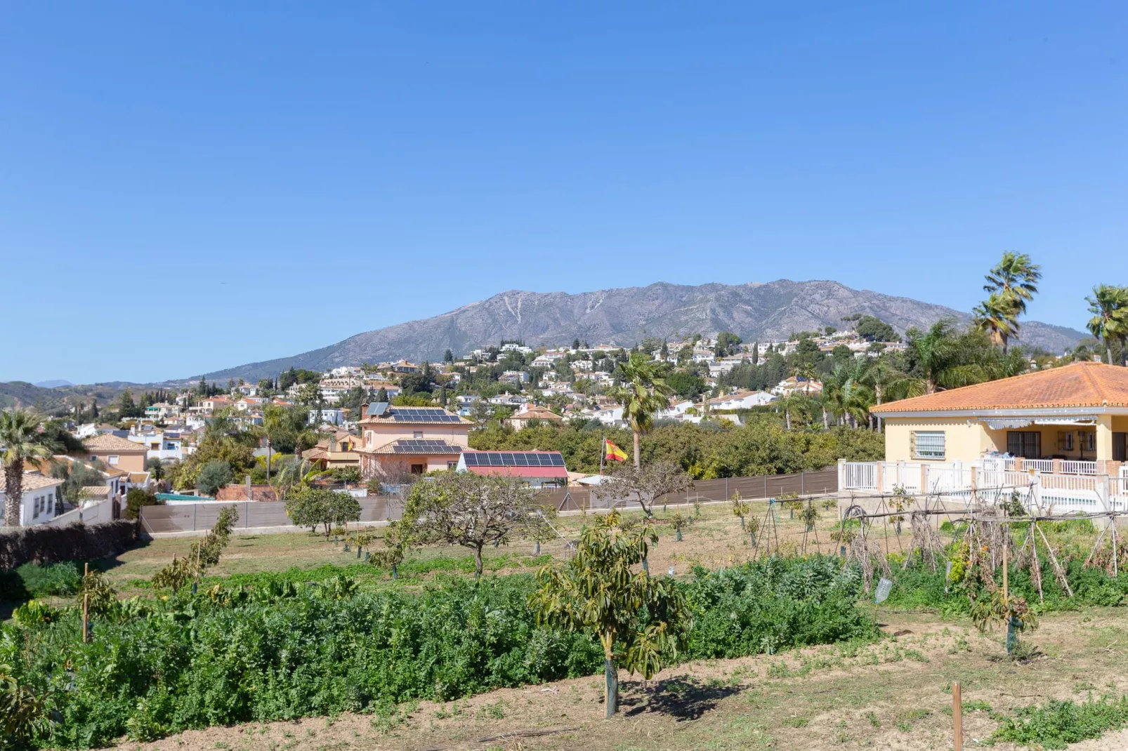 Finca El Altabacar-Areas summer 1km