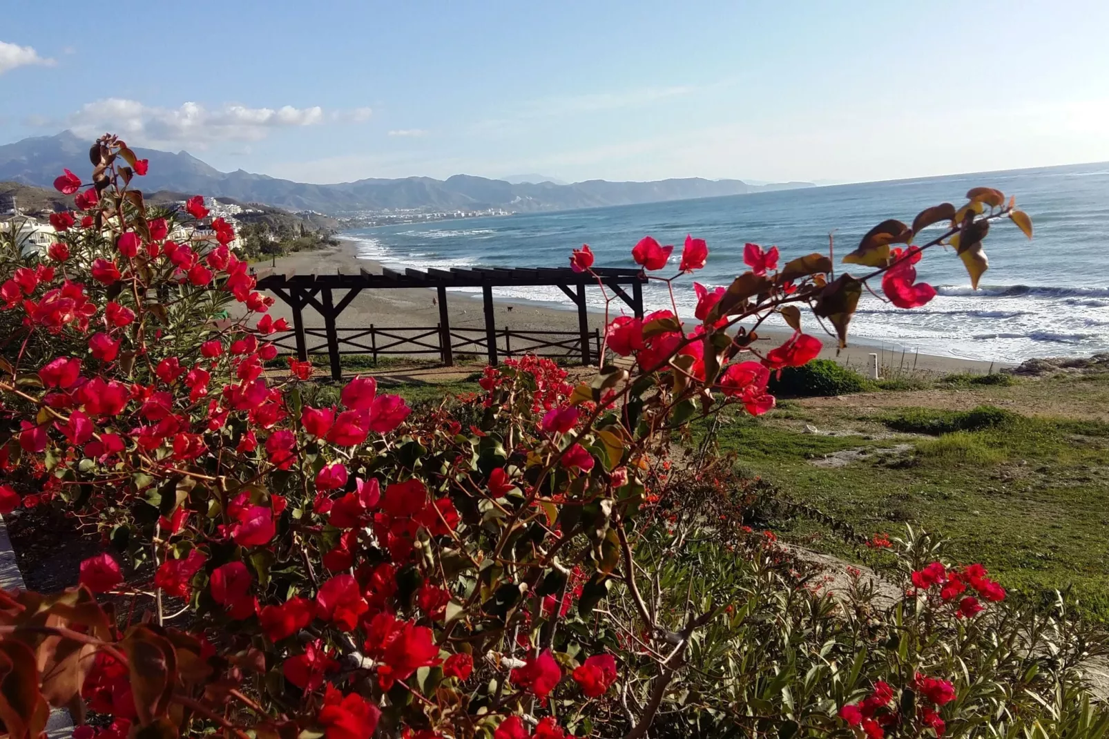Rincon Tropical-Gebiete Sommer 5 km