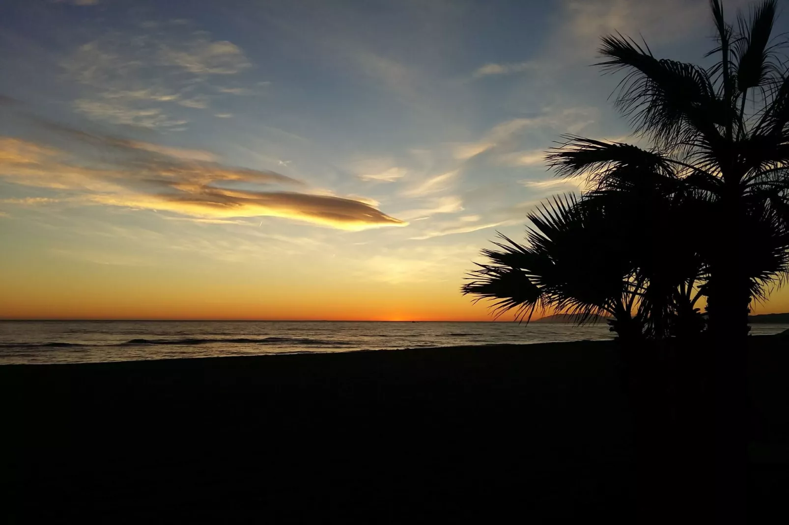 Rincon Tropical-Gebiete Sommer 5 km