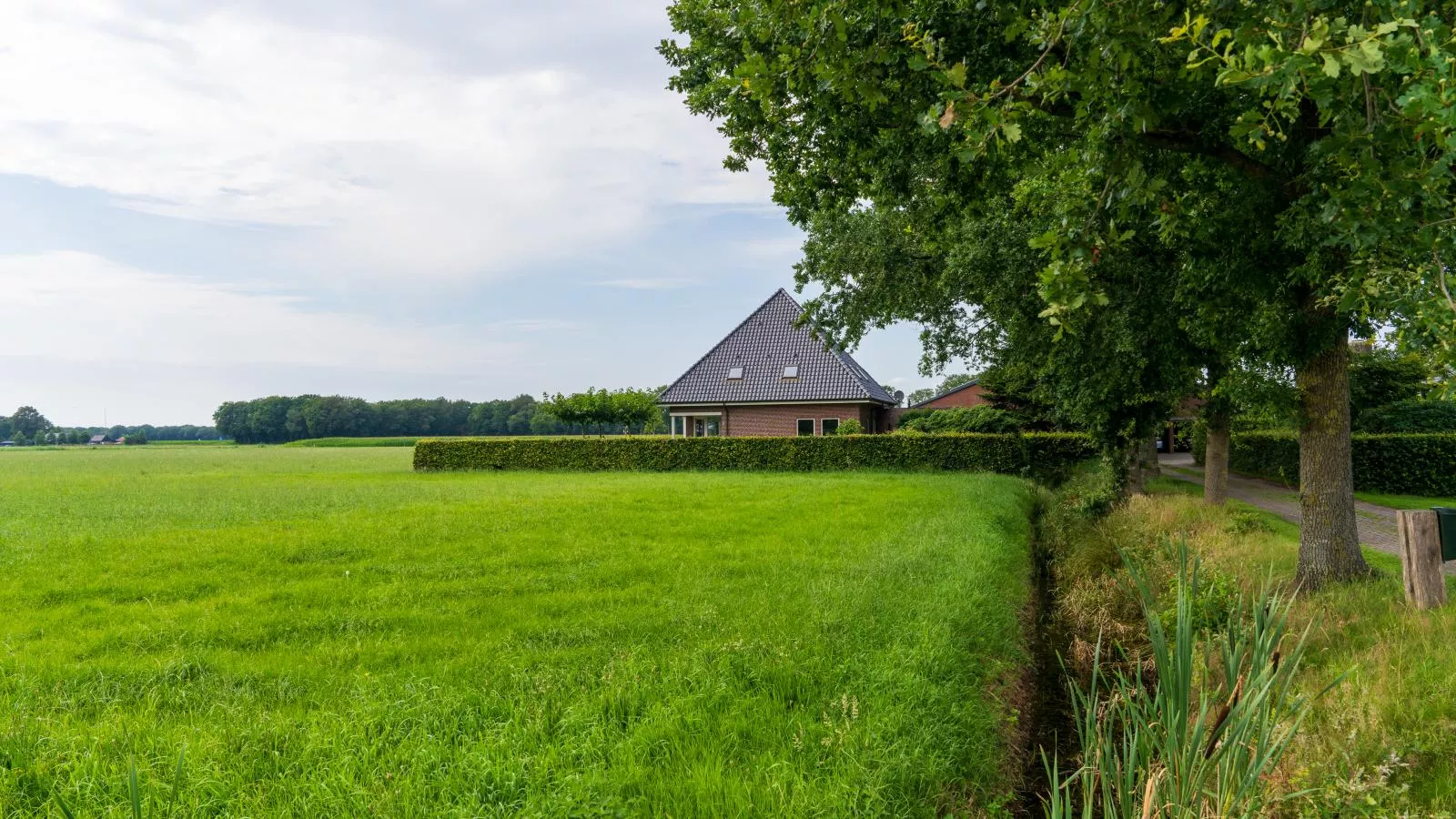 De Kolonie-Exterior summer