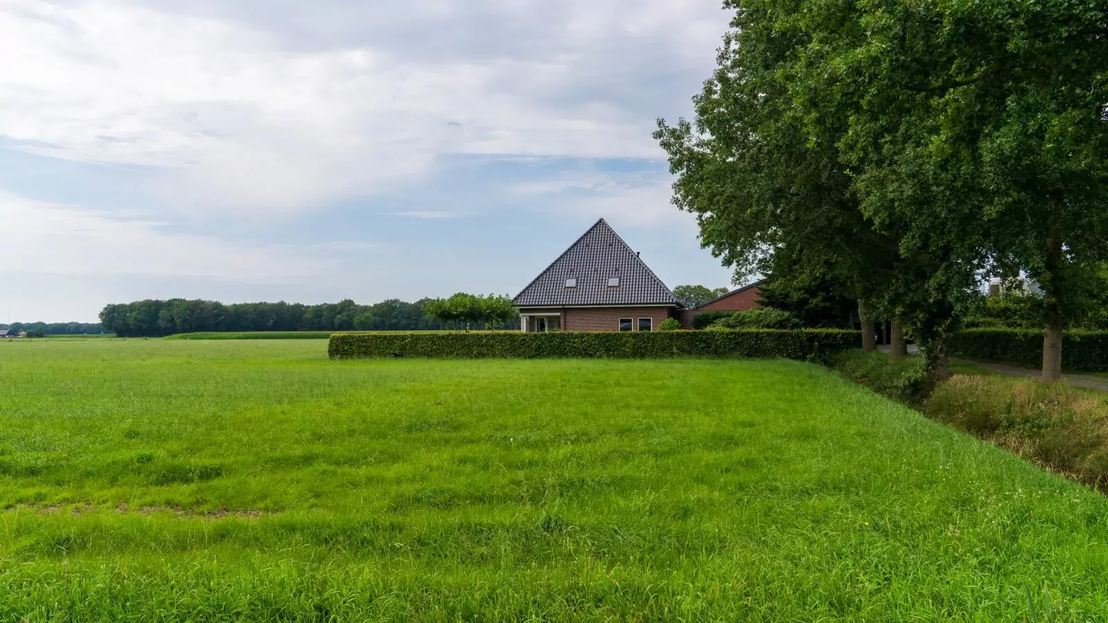 De Kolonie-Exterior summer