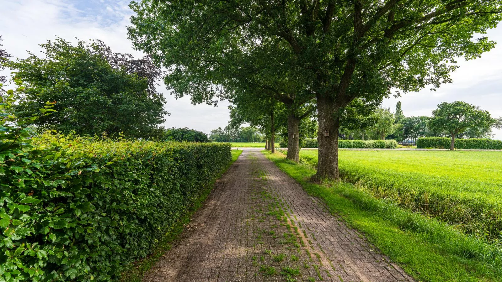 De Kolonie-Areas summer 1km