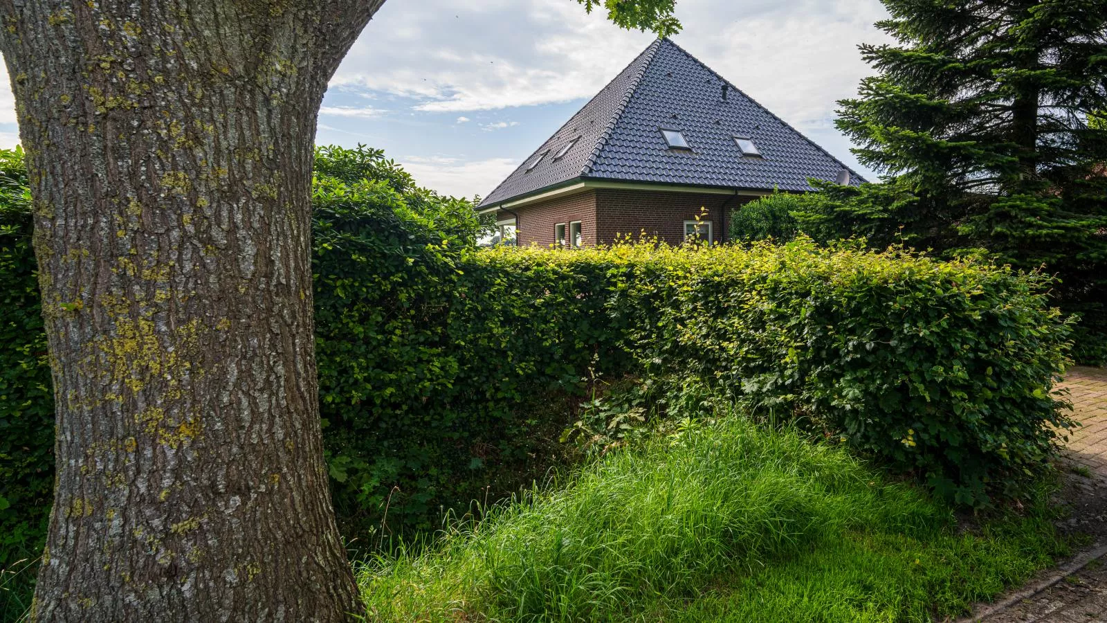 De Kolonie-Exterior summer