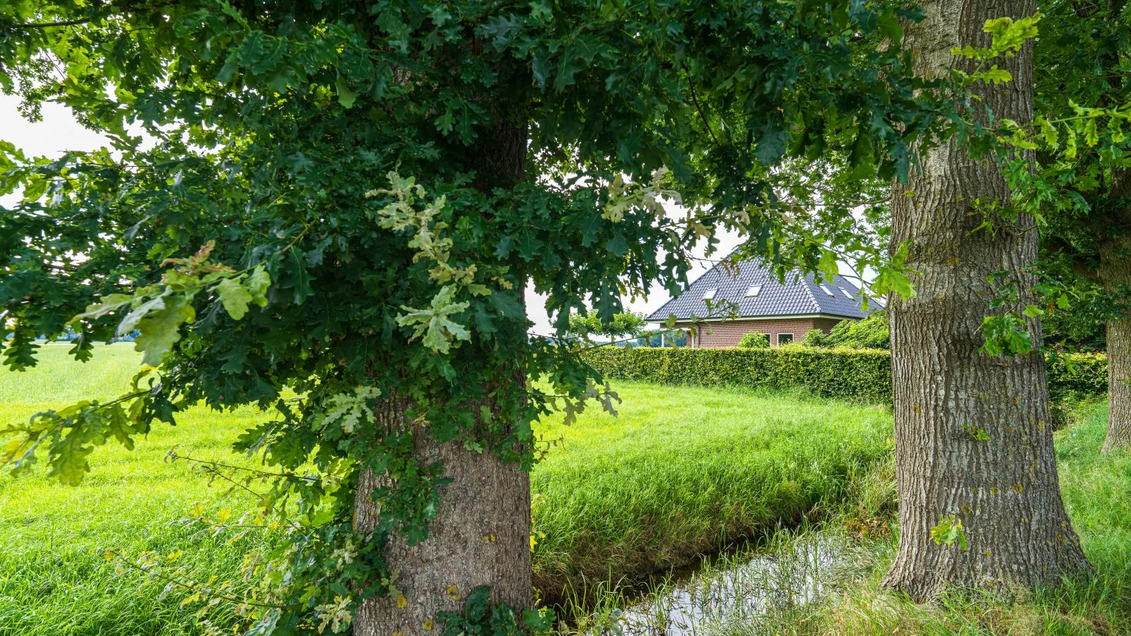 De Kolonie-Exterior summer
