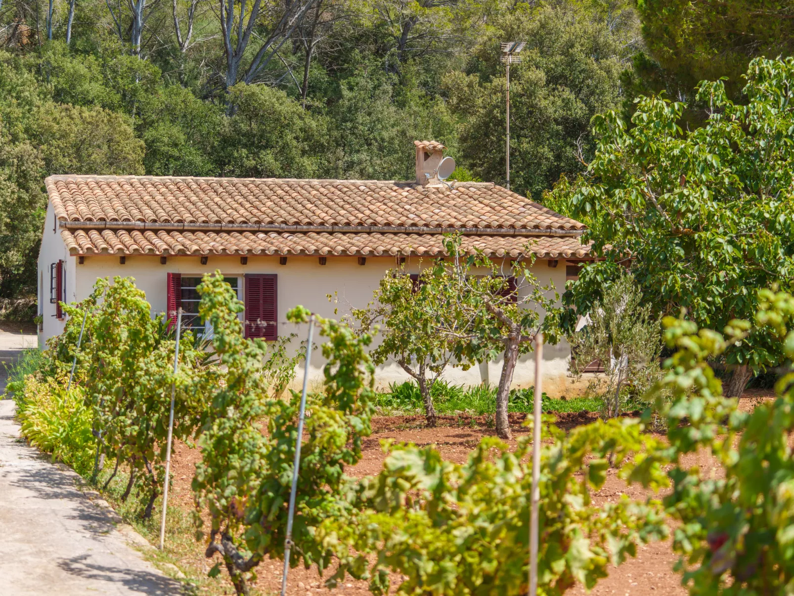 Ullastro Pollença-Outside
