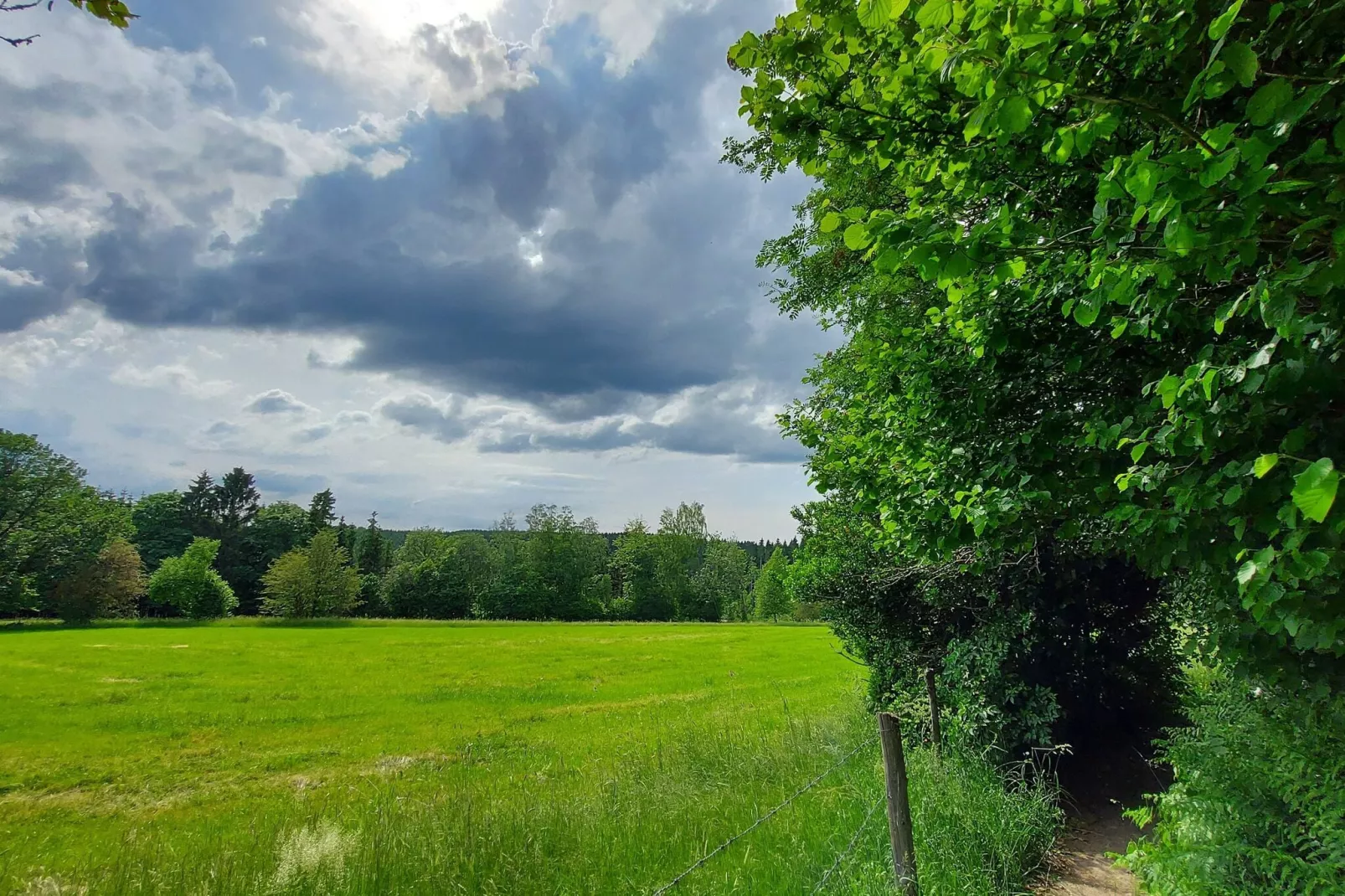 Les Hirondelles-Zones d'été à 1 km