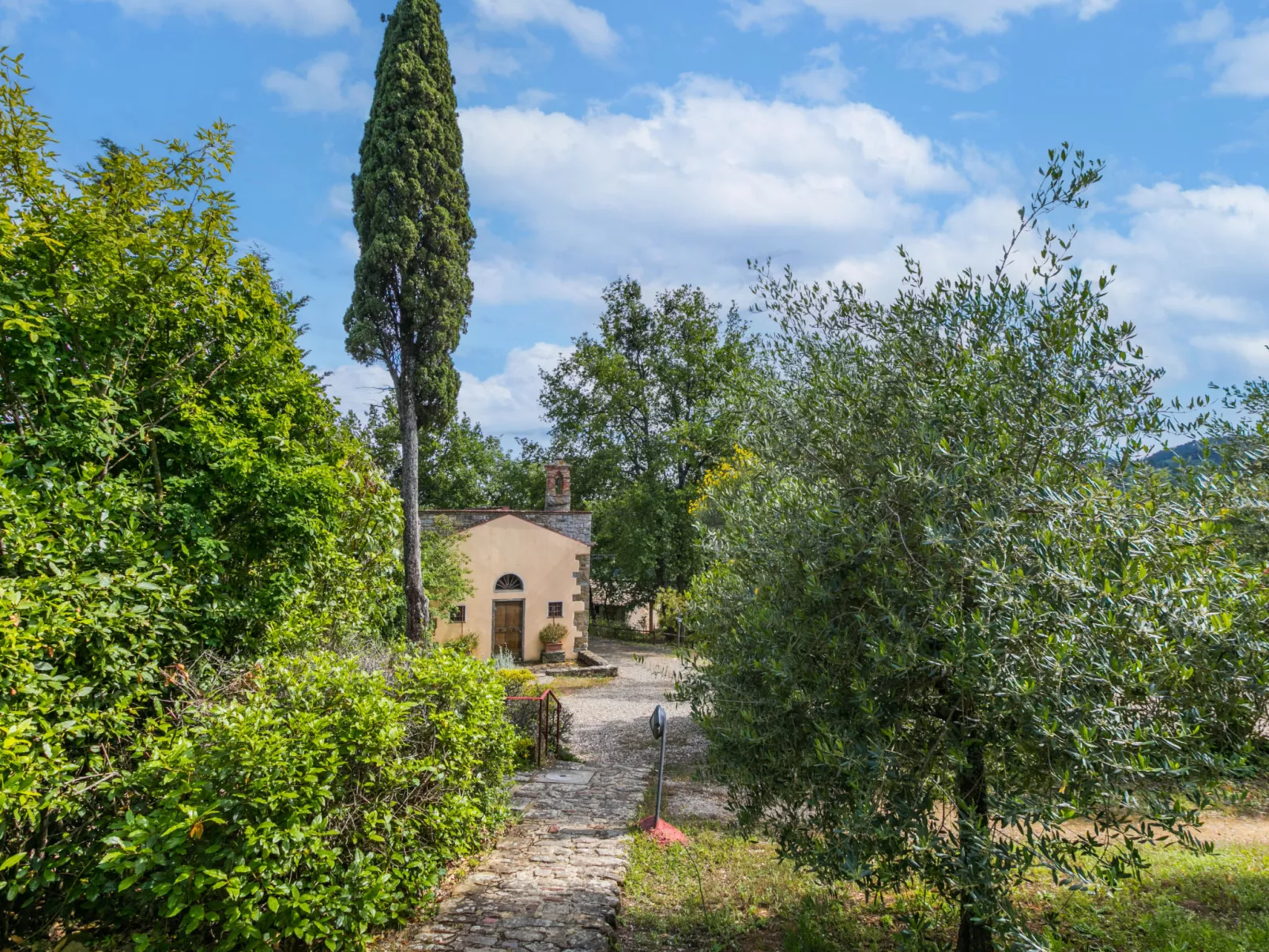 Il Cinghiale-Outside