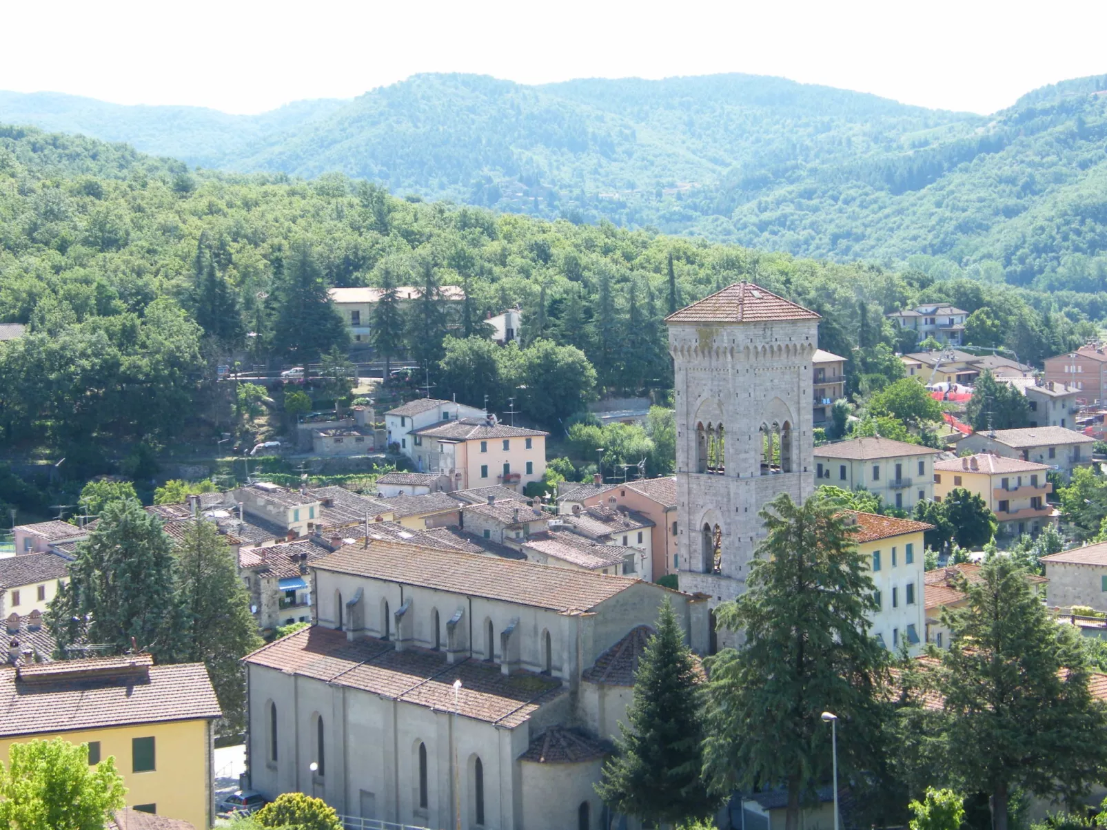 Il Cinghiale-Area