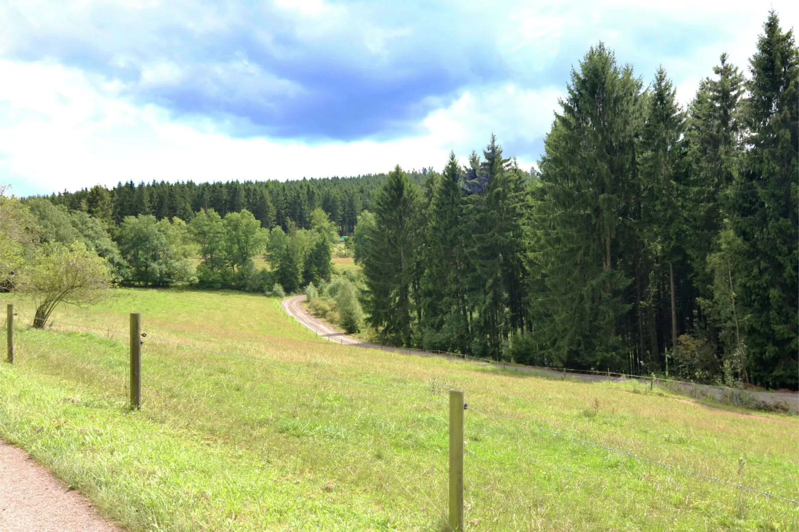 Mark-Areas summer 1km