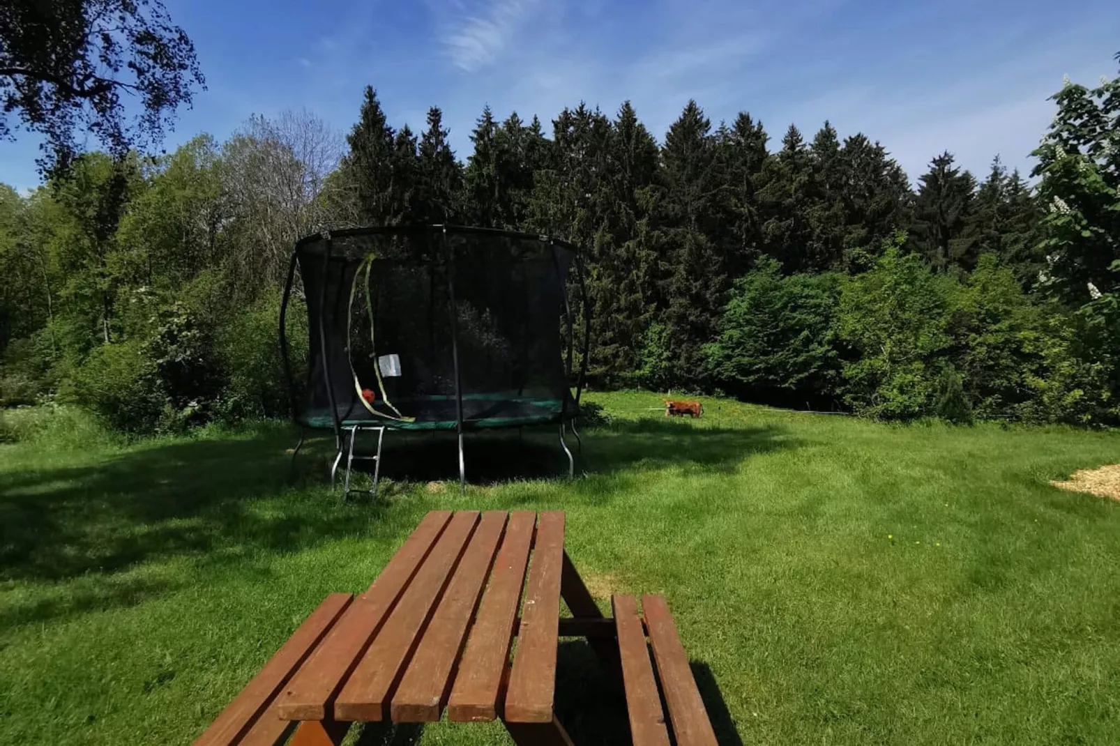 Mark-Gardens summer