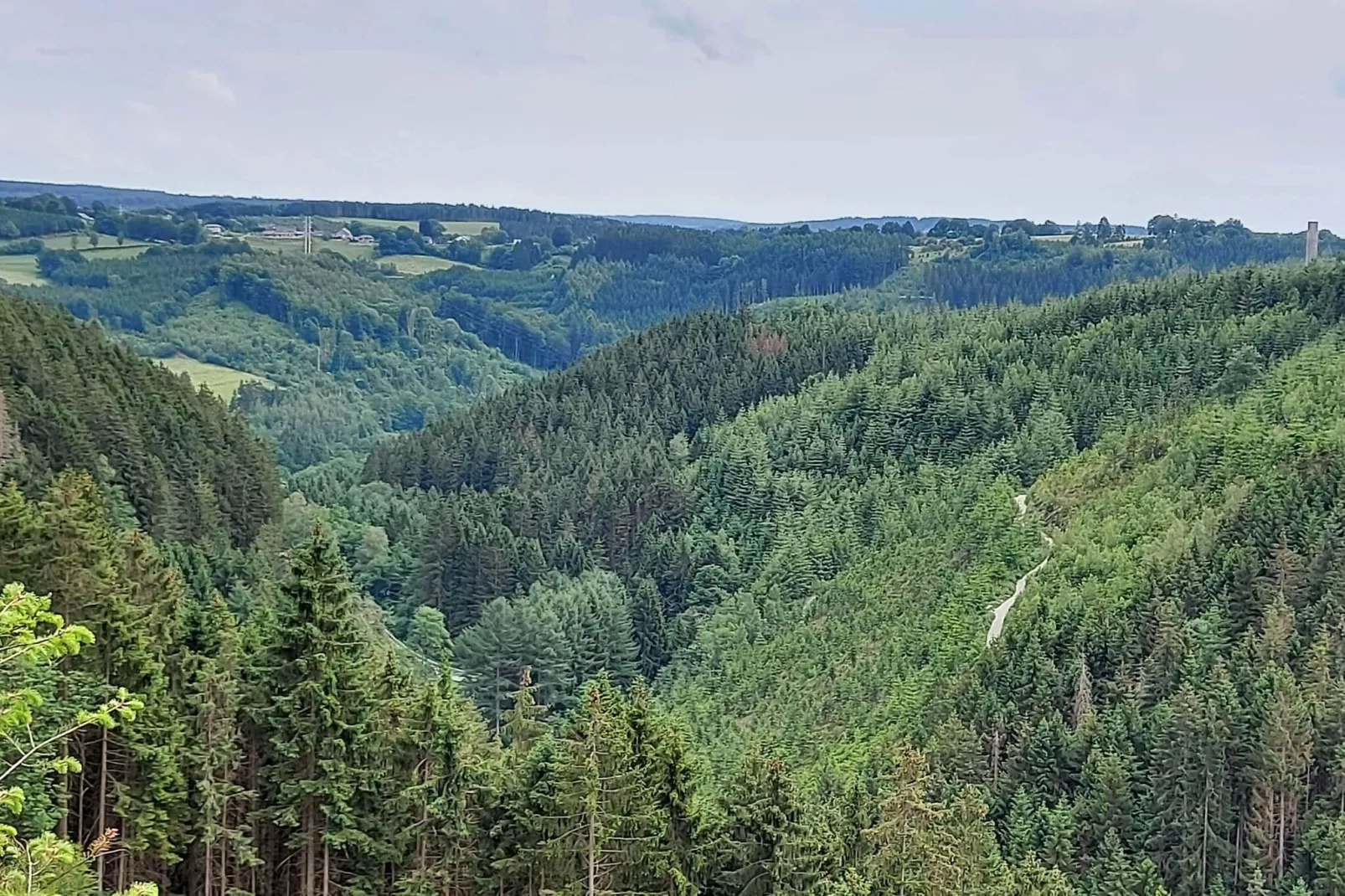 Les Hirondelles-Zones d'été à 1 km