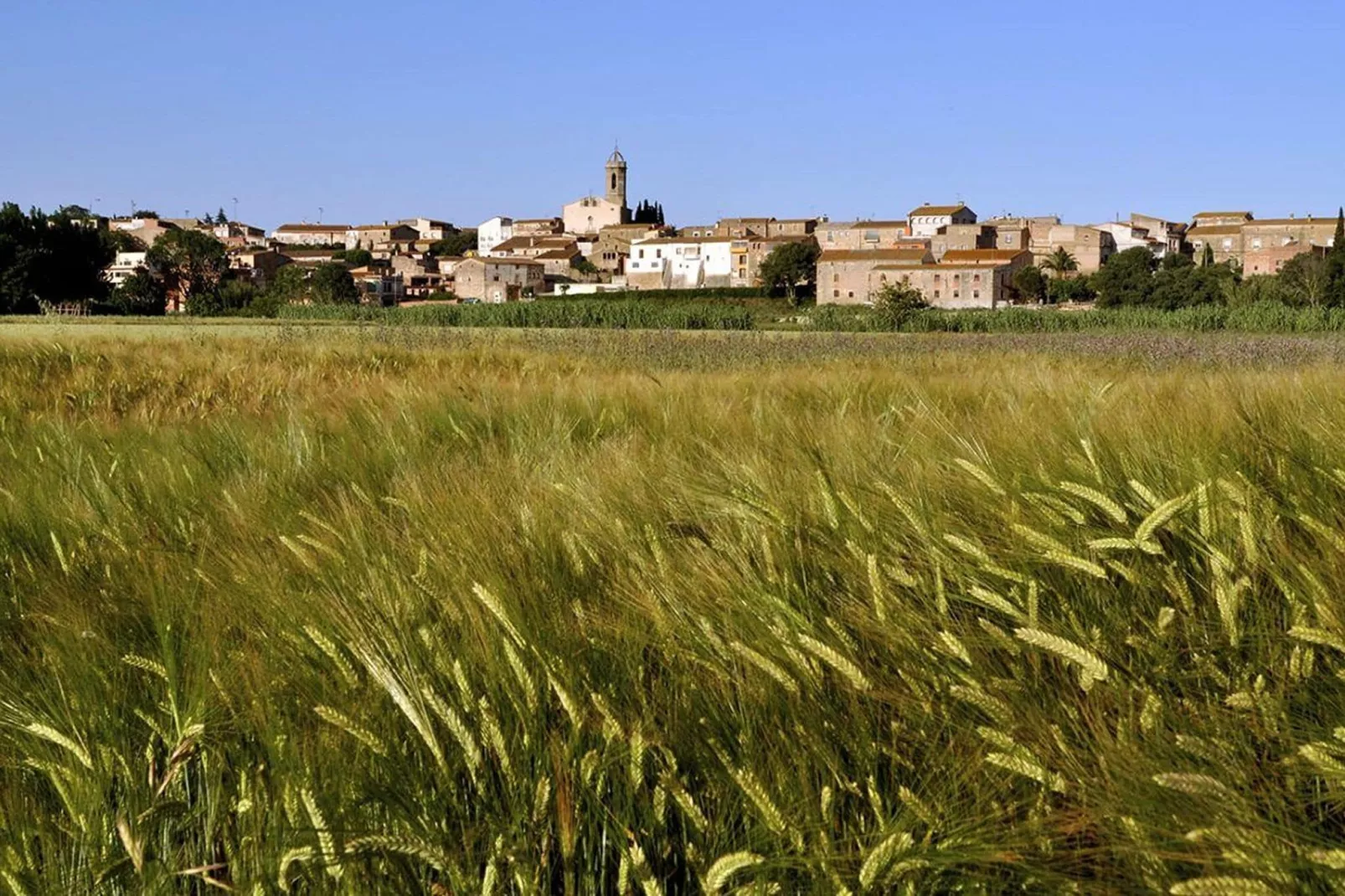 El Pajar Del Empordà-View summer