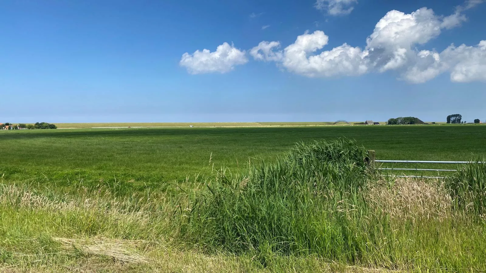 Het Koetshuis-Areas summer 1km