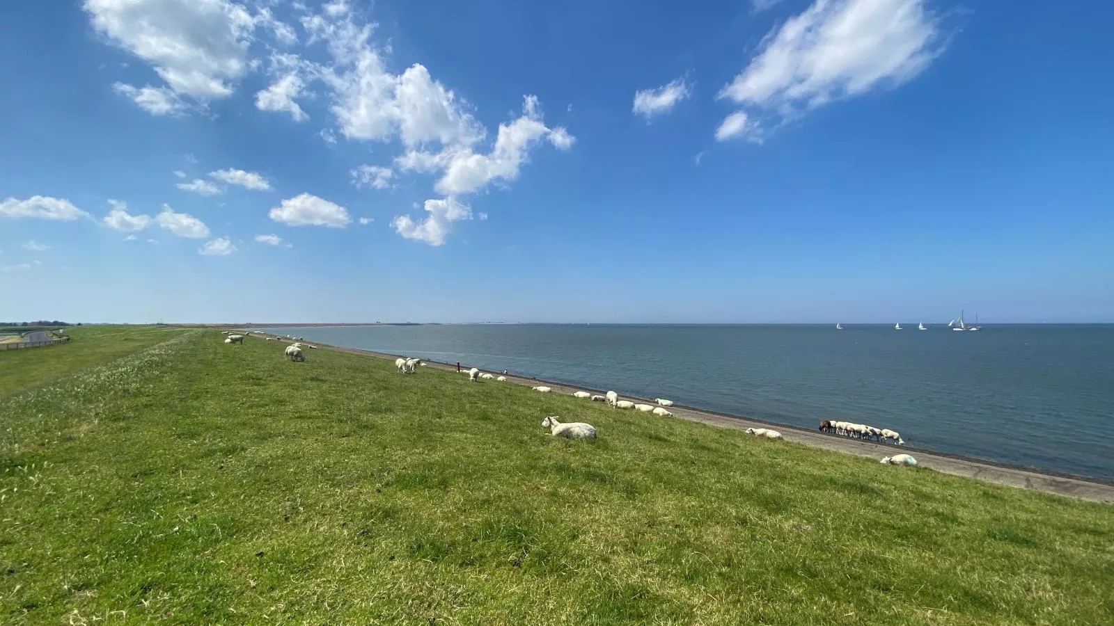Het Koetshuis-Areas summer 5km