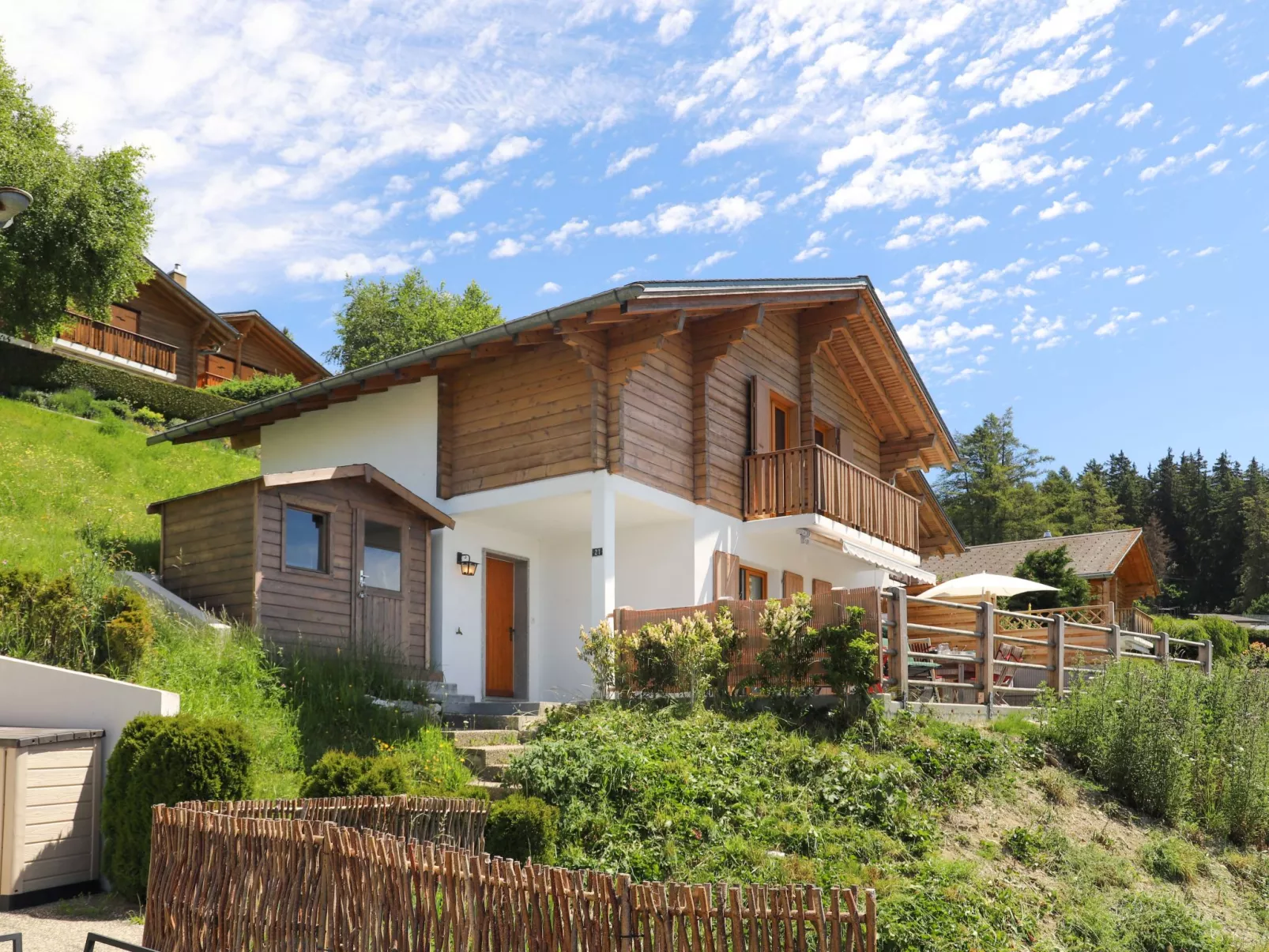 Chalet La Délège-Outside