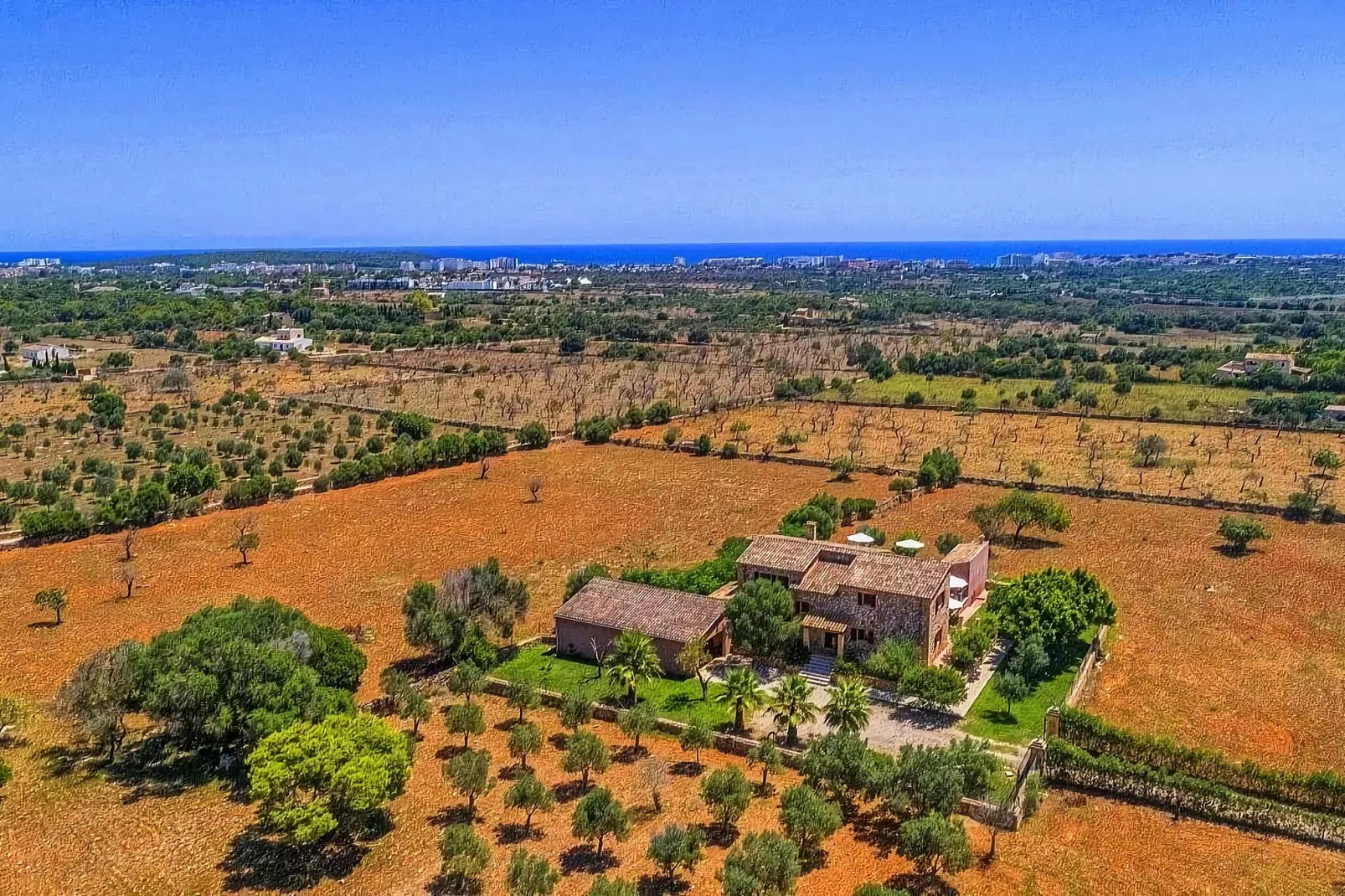 Can Pedro-Areas summer 1km