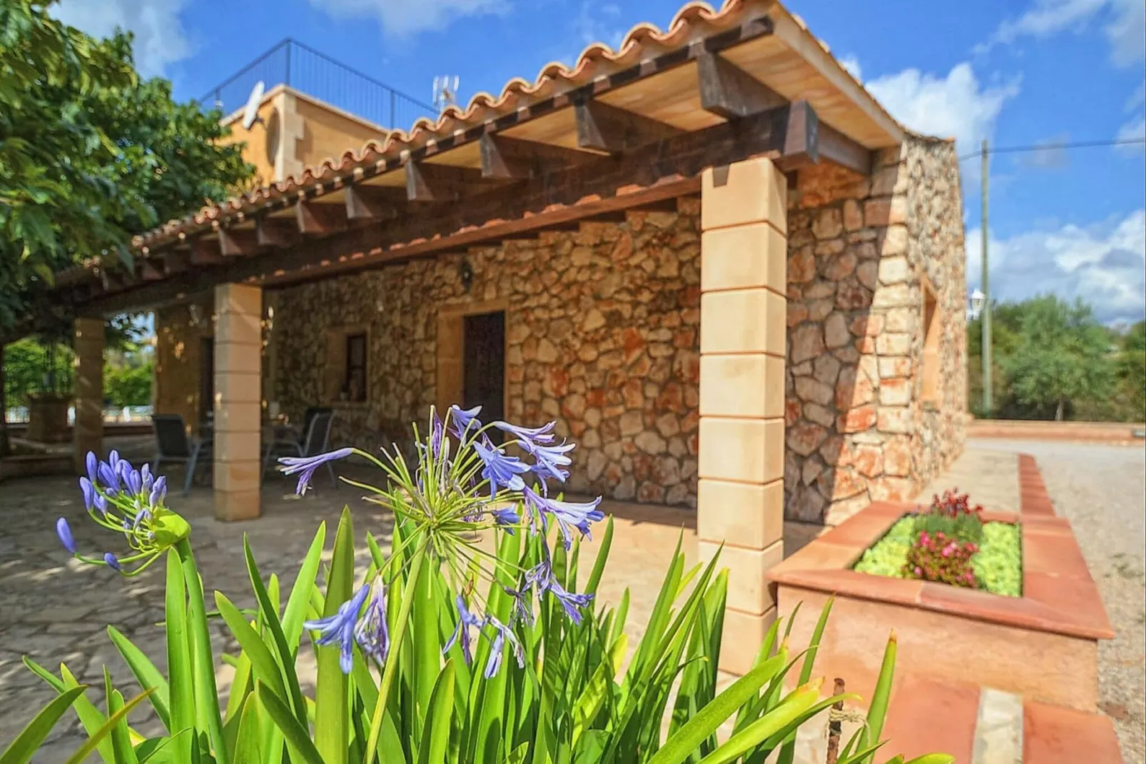 Cova-Exterior summer