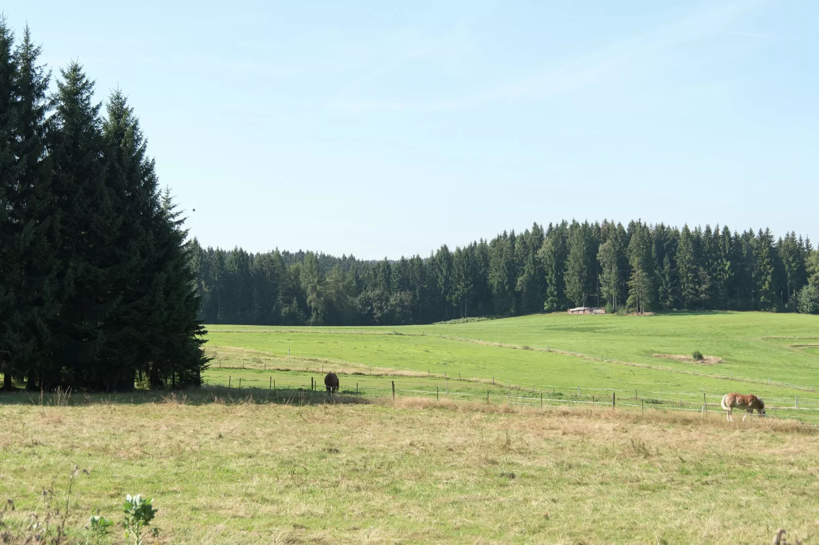 Auerbach-Aussicht Sommer