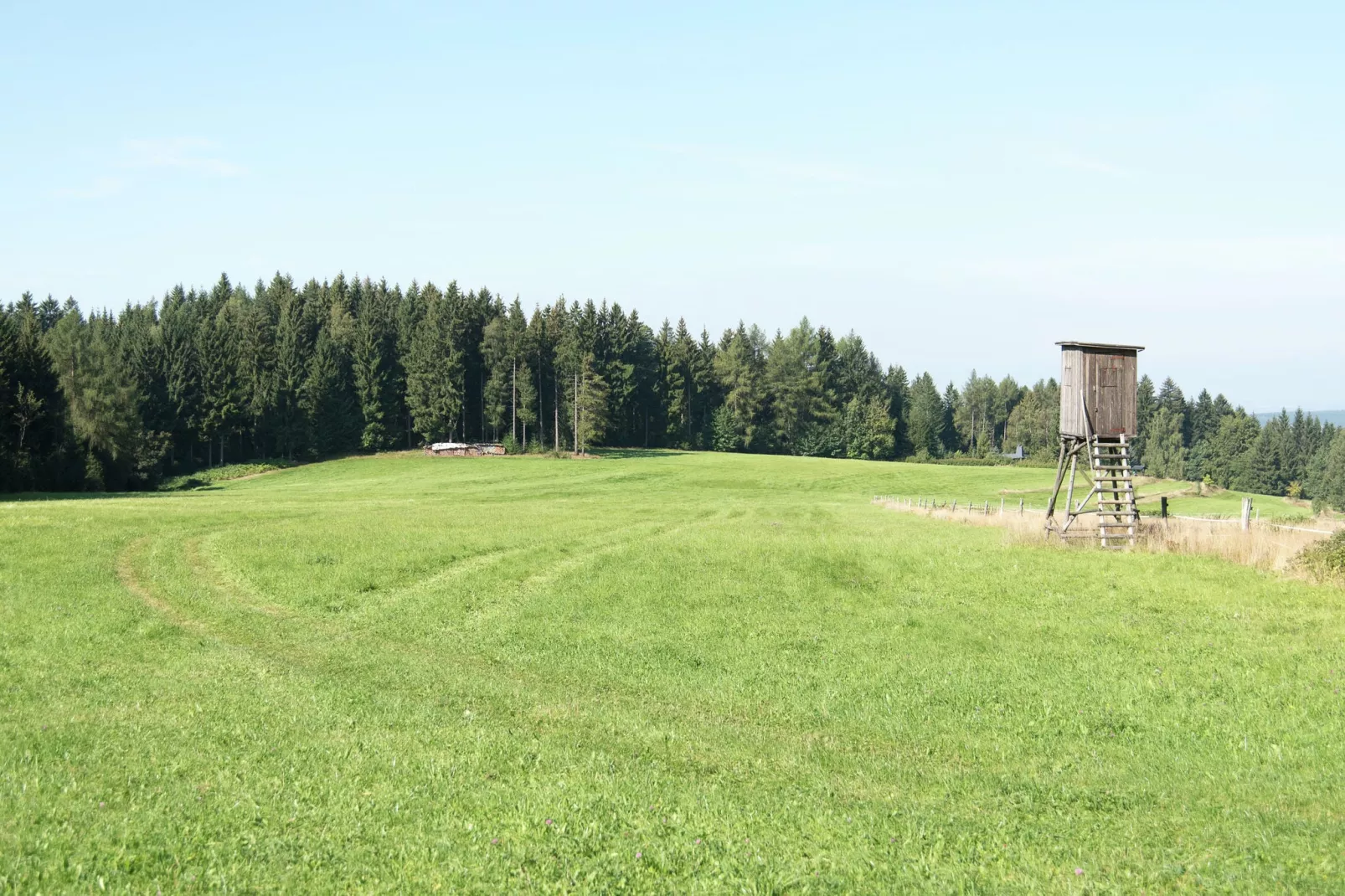 Auerbach-Gebiete Sommer 1 km