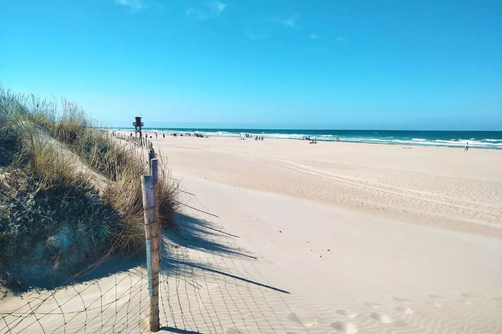Carlota Alexandri-Areas summer 20km