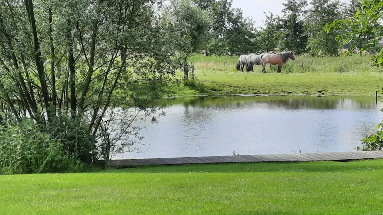 De Karkooi-View summer