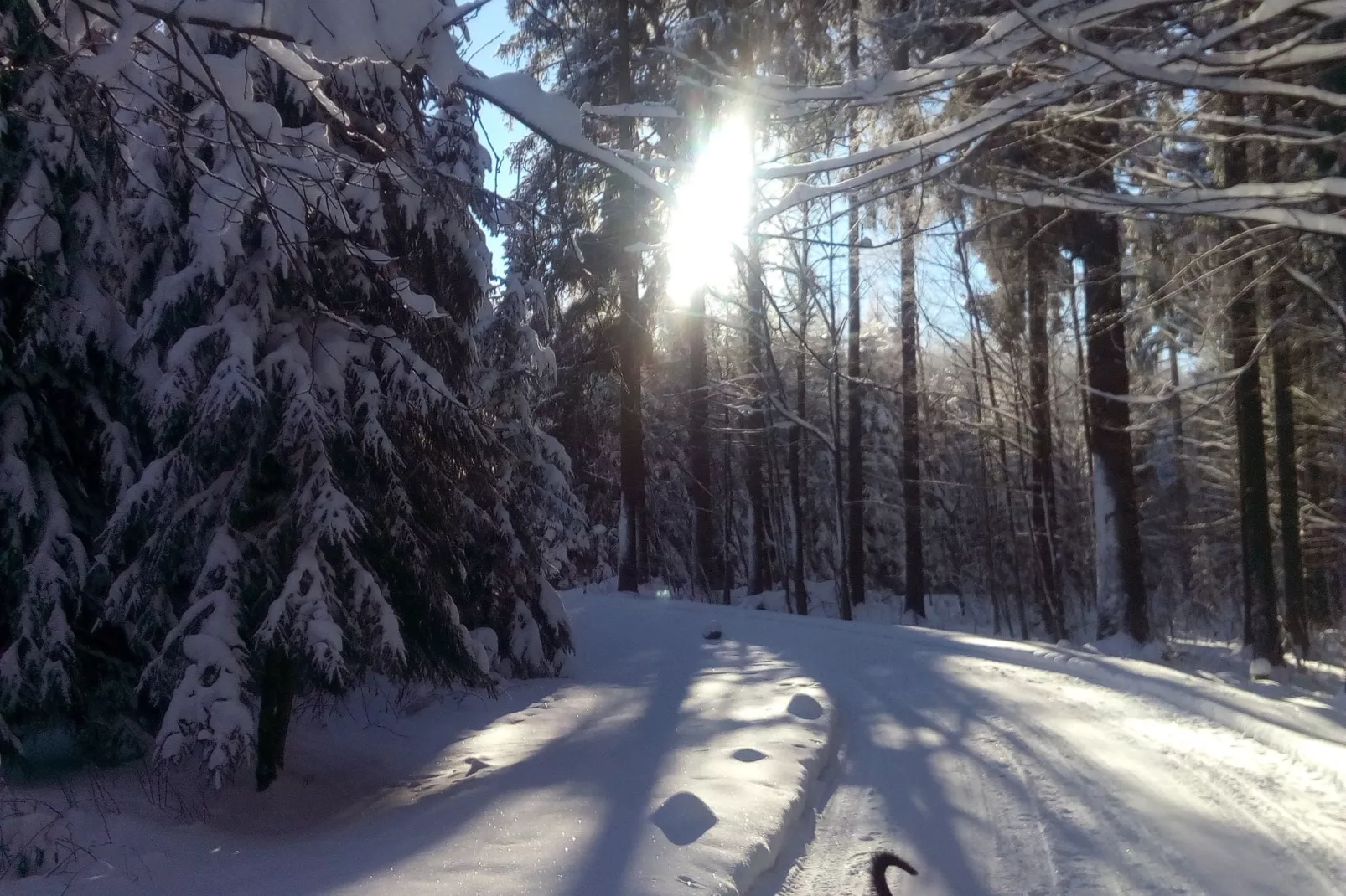 Am Sonnenblick-Area winter 20km