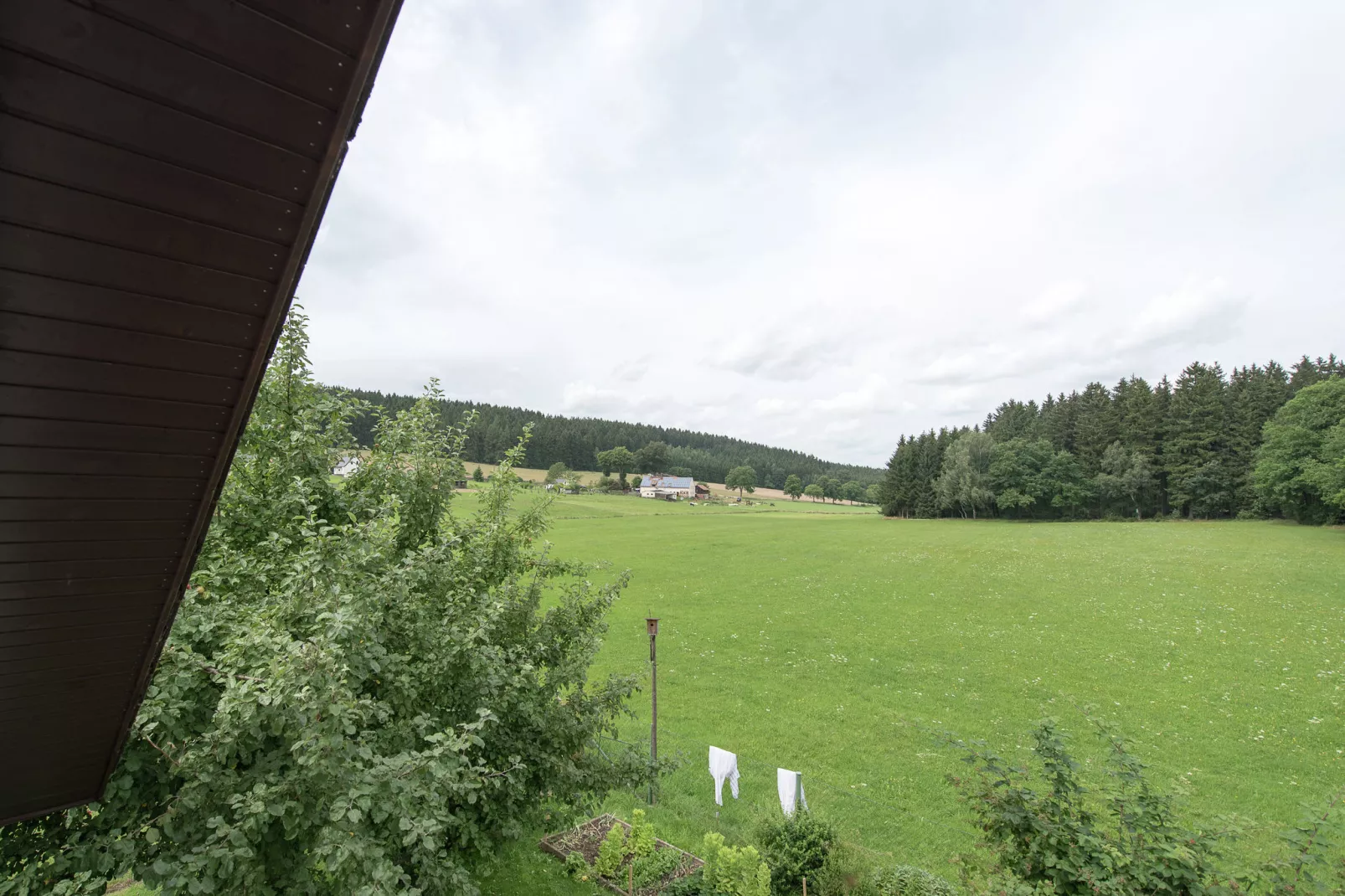 Am Sonnenblick-View summer