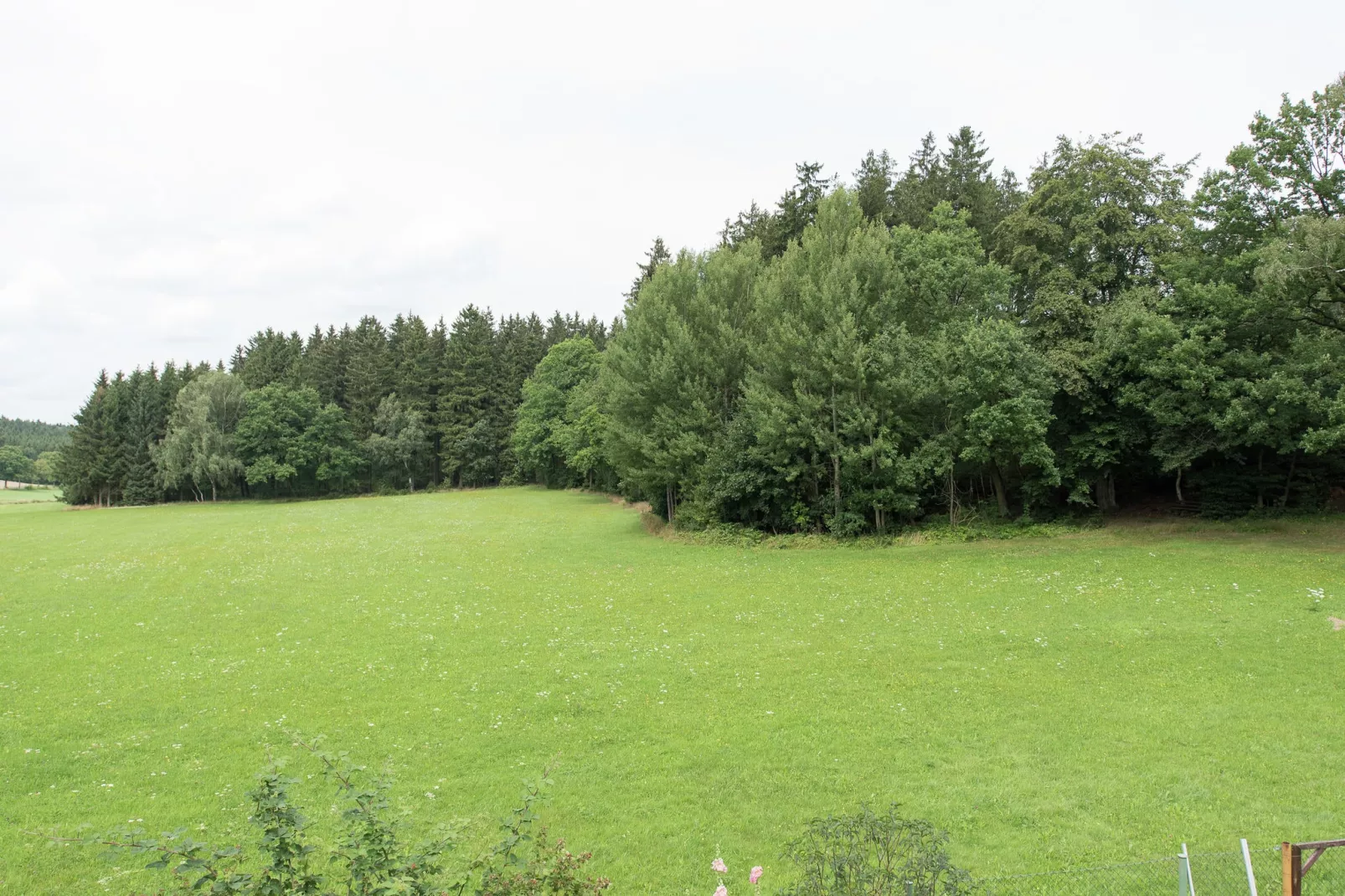 Am Sonnenblick-Areas summer 1km