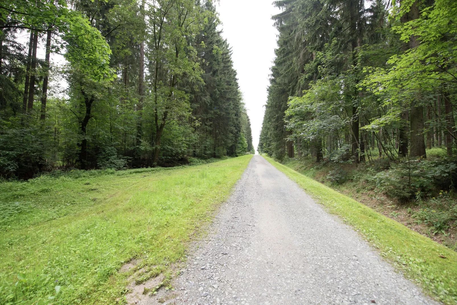Am Sonnenblick-Areas summer 5km