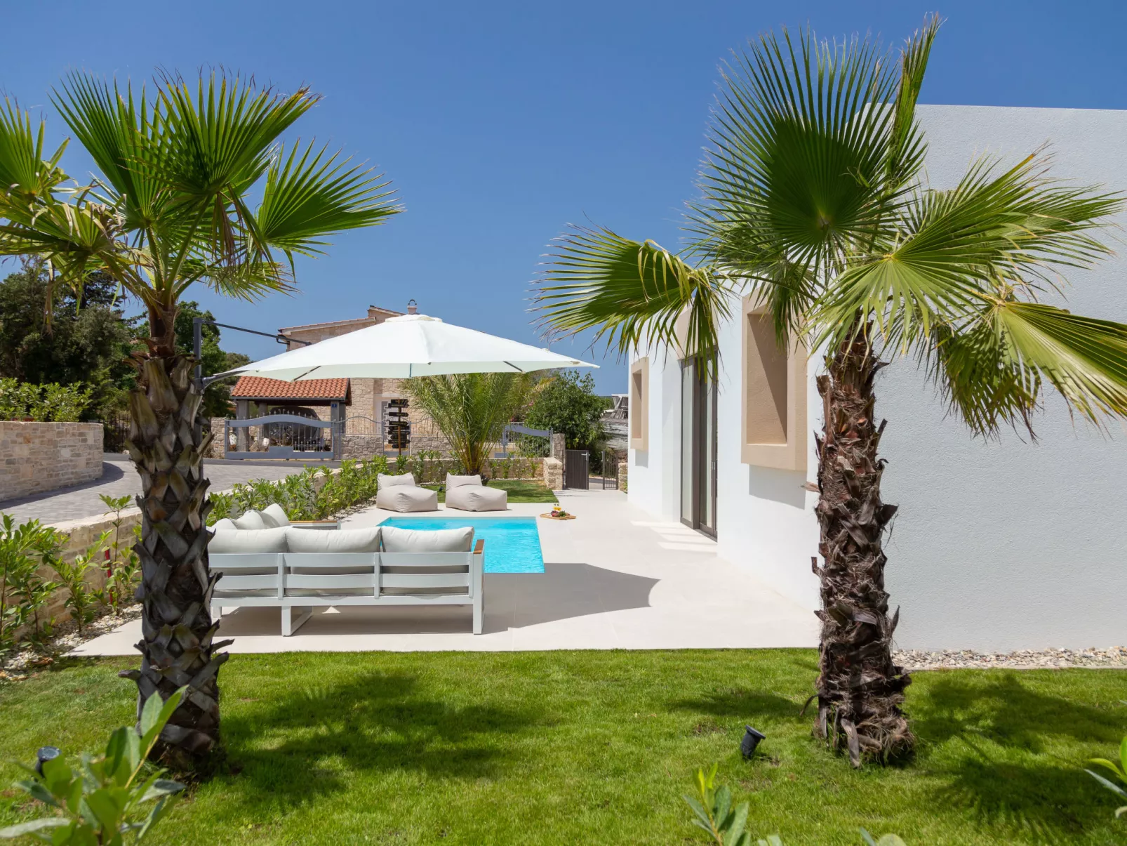 Palms-Outside