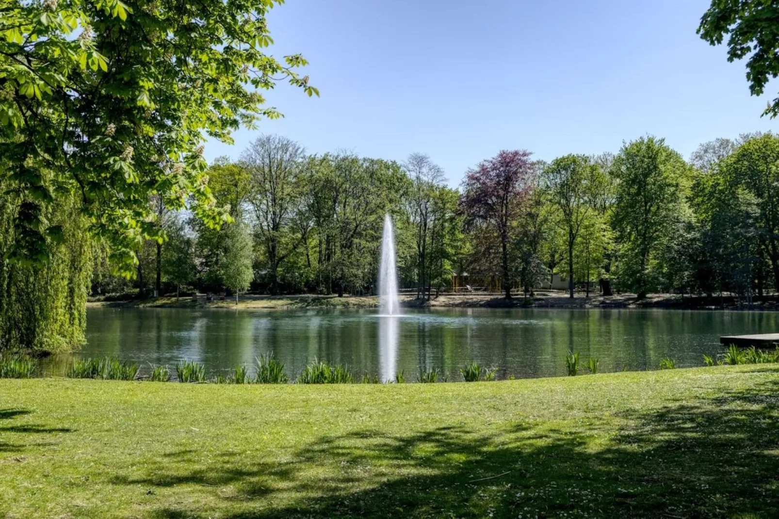 B&B Ferienwohnung-Areas summer 1km