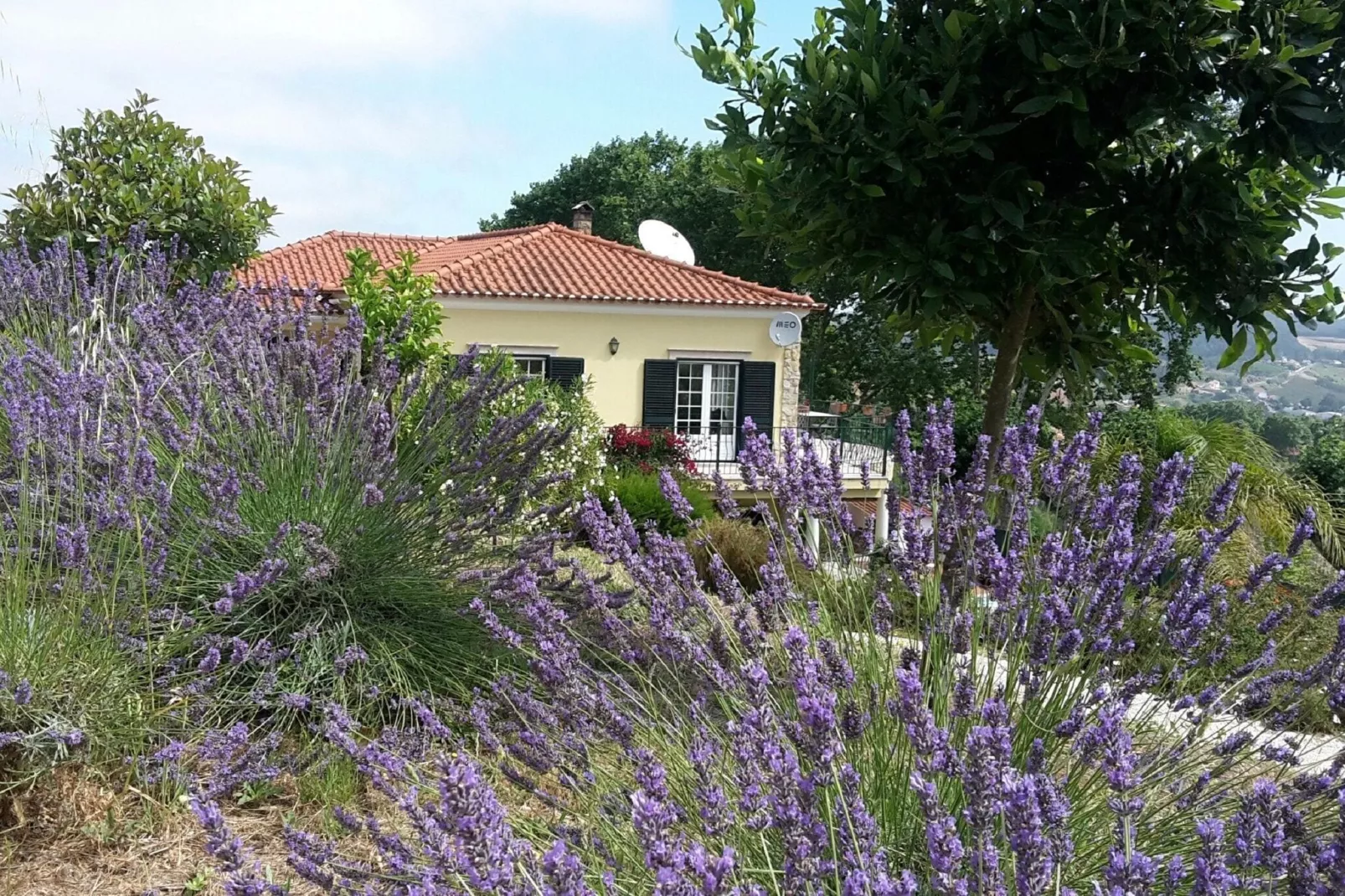 Casa do Coqueiro-Gardens summer