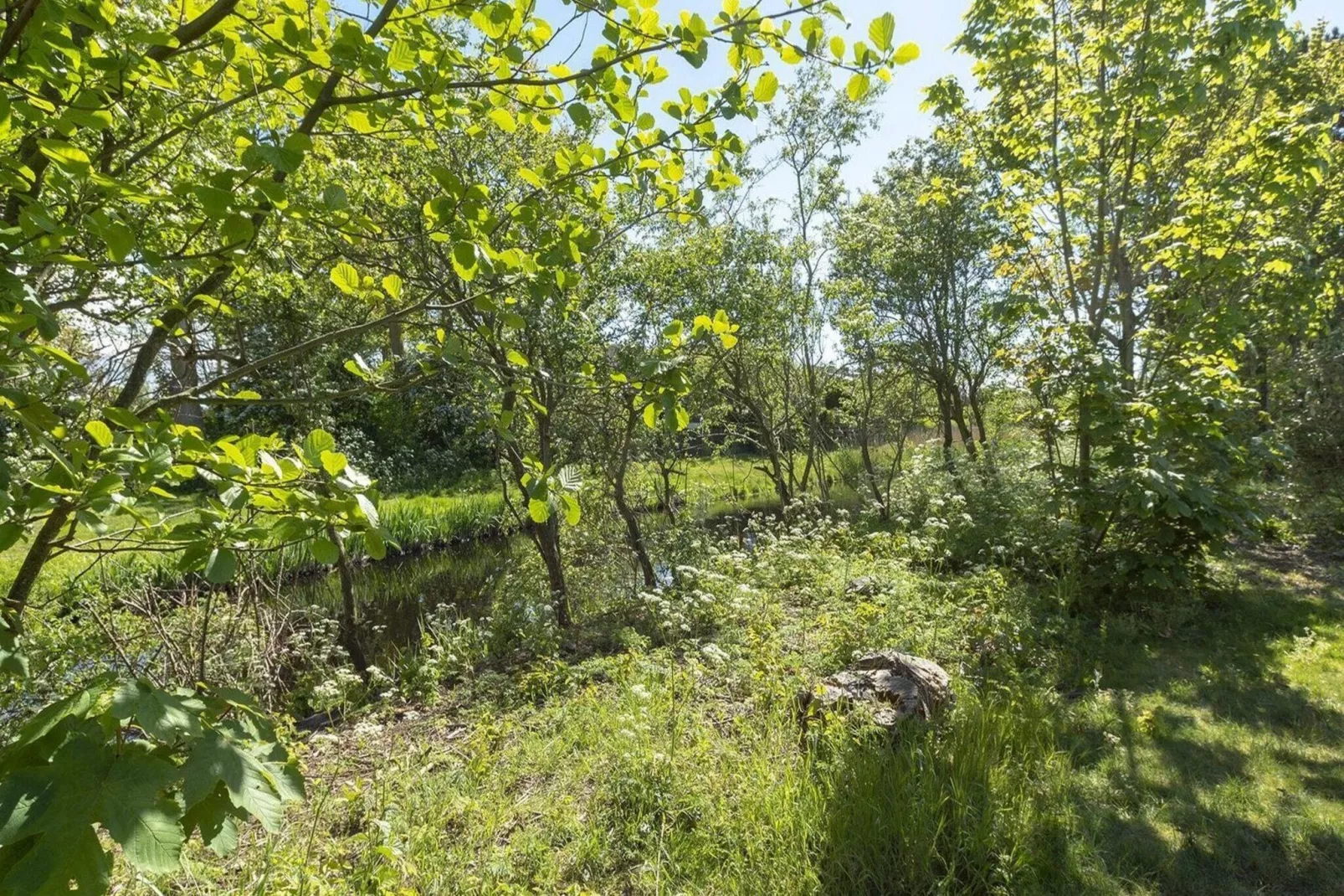 Previnaireweg 34-View summer