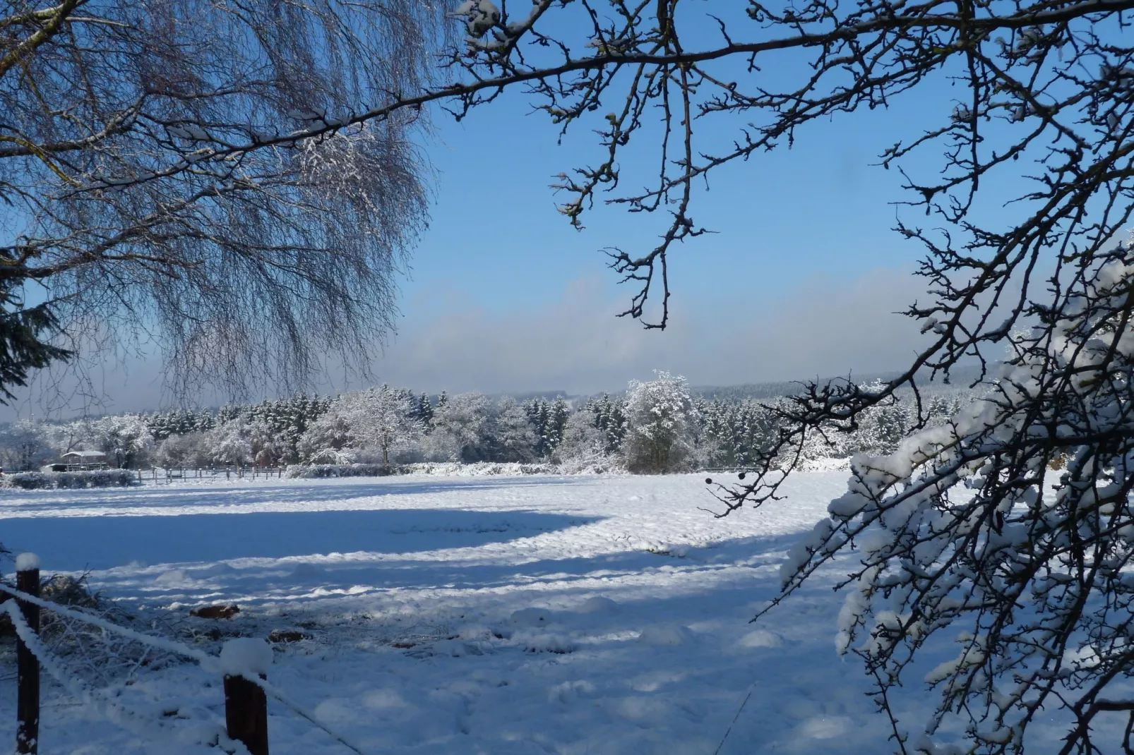 La Fagnardise-View winter