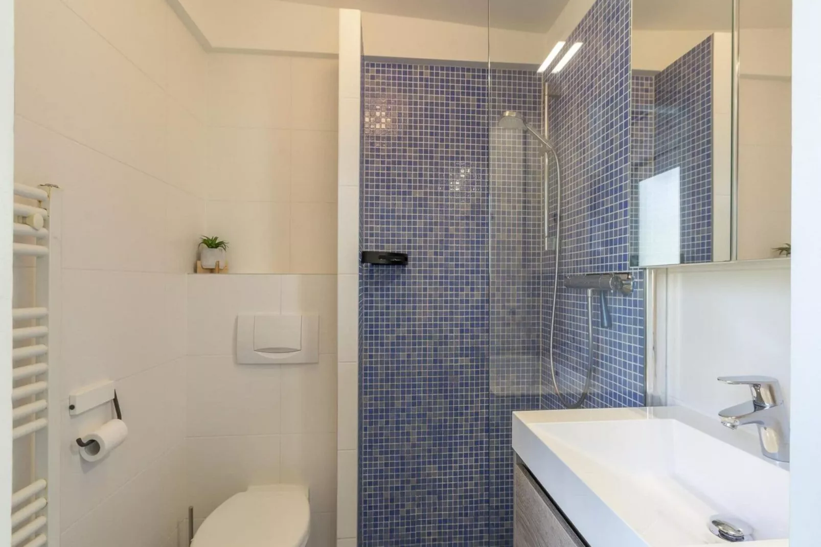 Duinland 197-Salle de bain