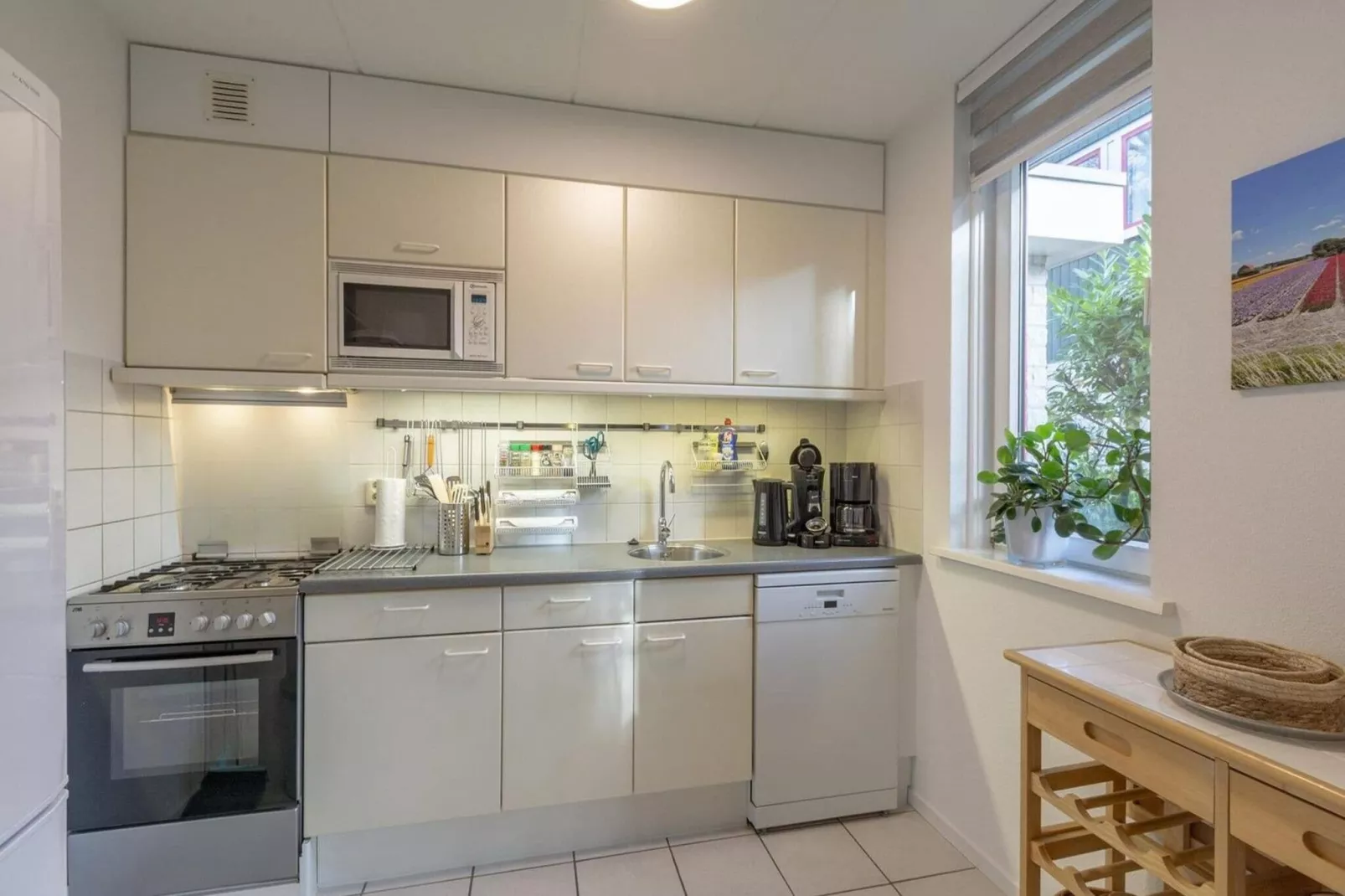 Campanula 39-Kitchen
