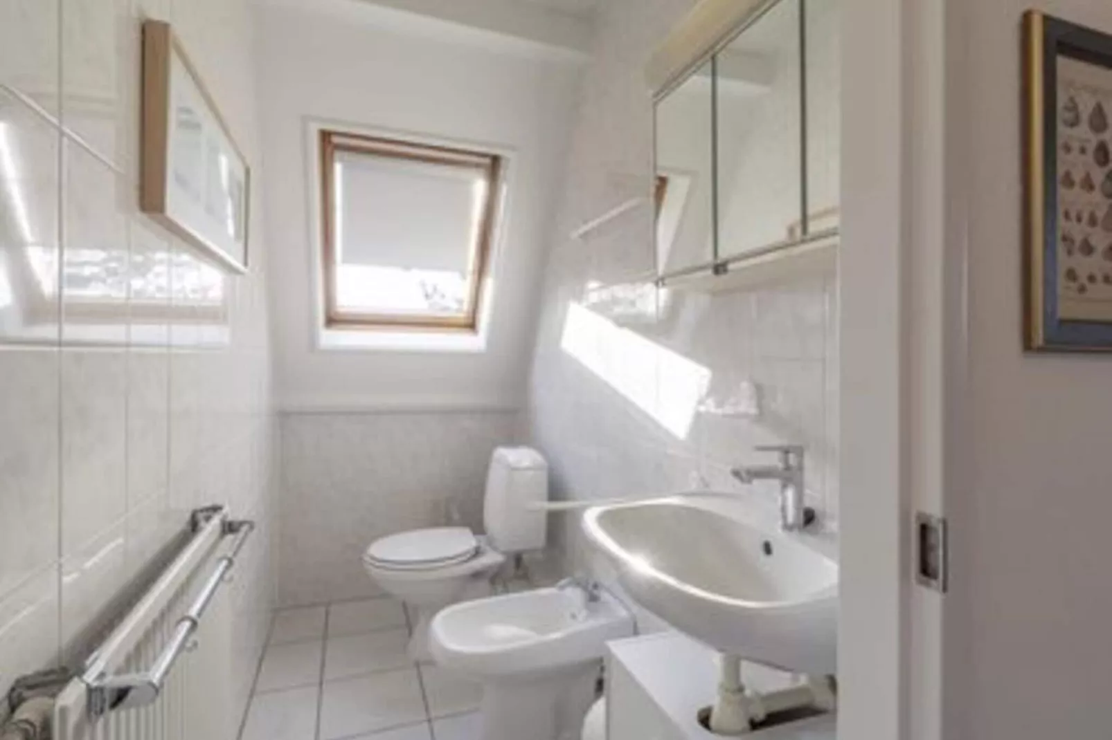 Campanula 39-Bathroom