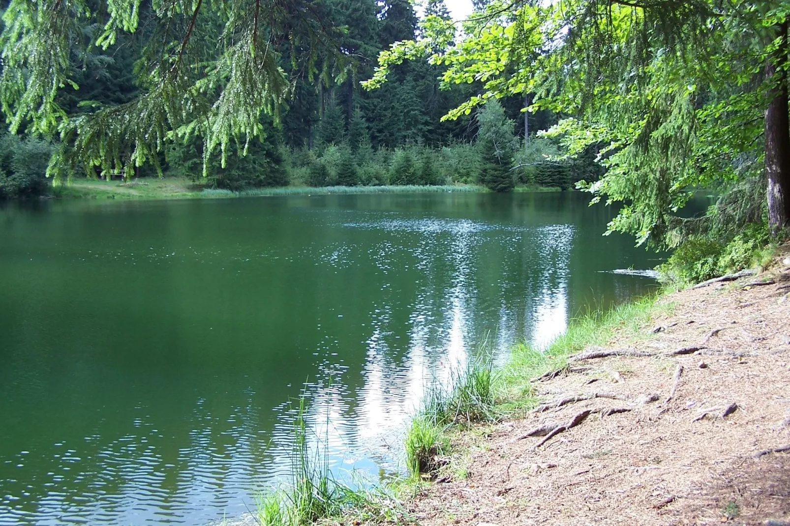 Zum Erzgebirge-Areas summer 20km