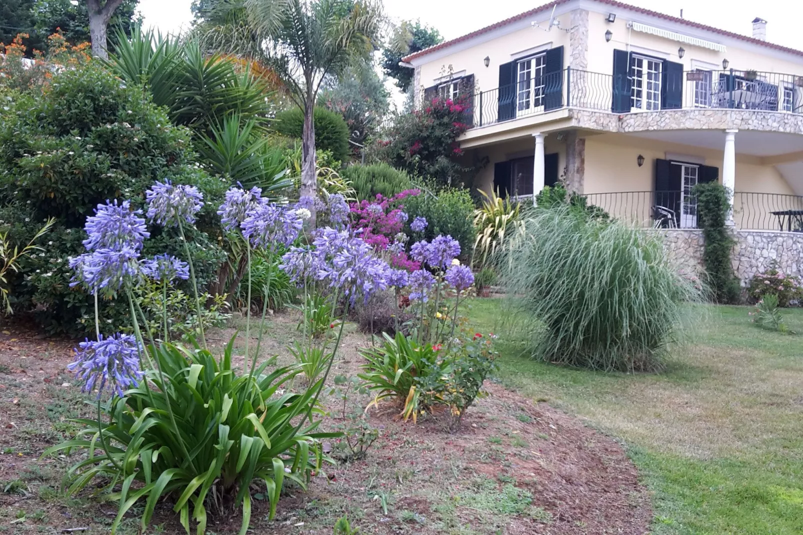 Casa do Coqueiro-Gardens summer