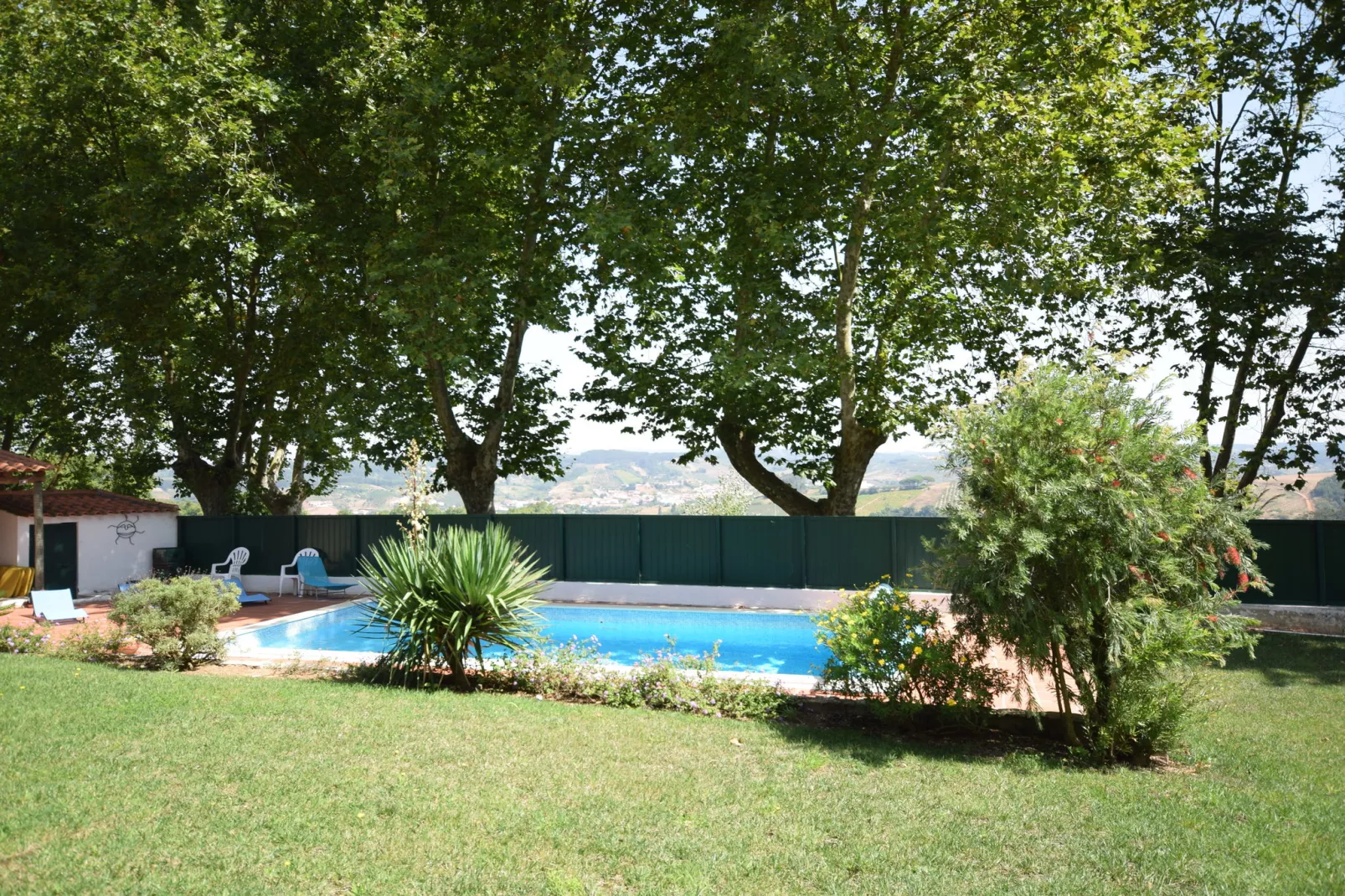 Casa do Coqueiro-View summer