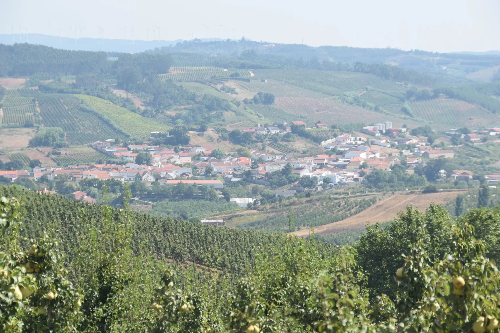 Casa do Coqueiro-Areas summer 5km