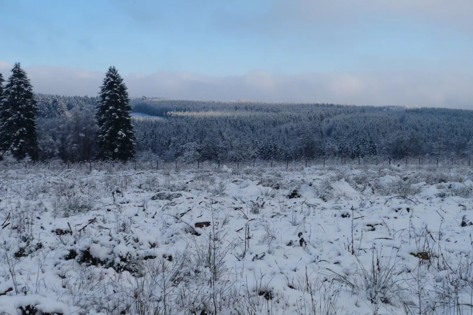 La Fagnardise-Area winter 5km