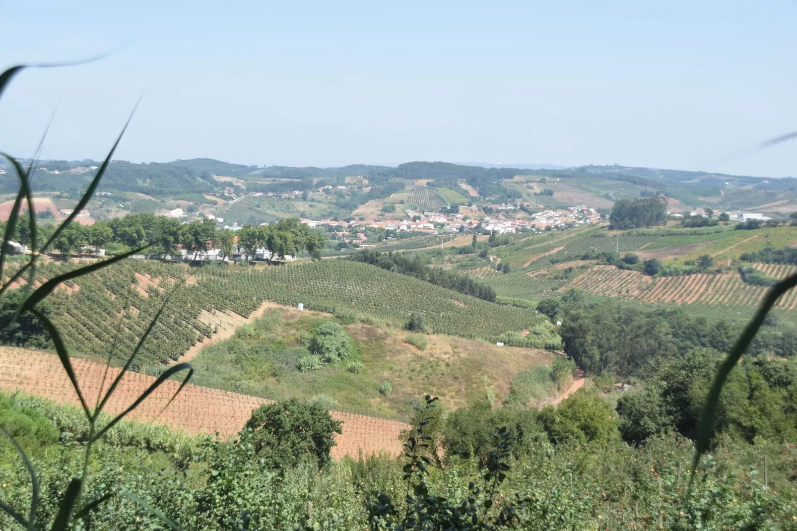 Casa do Coqueiro-Areas summer 20km