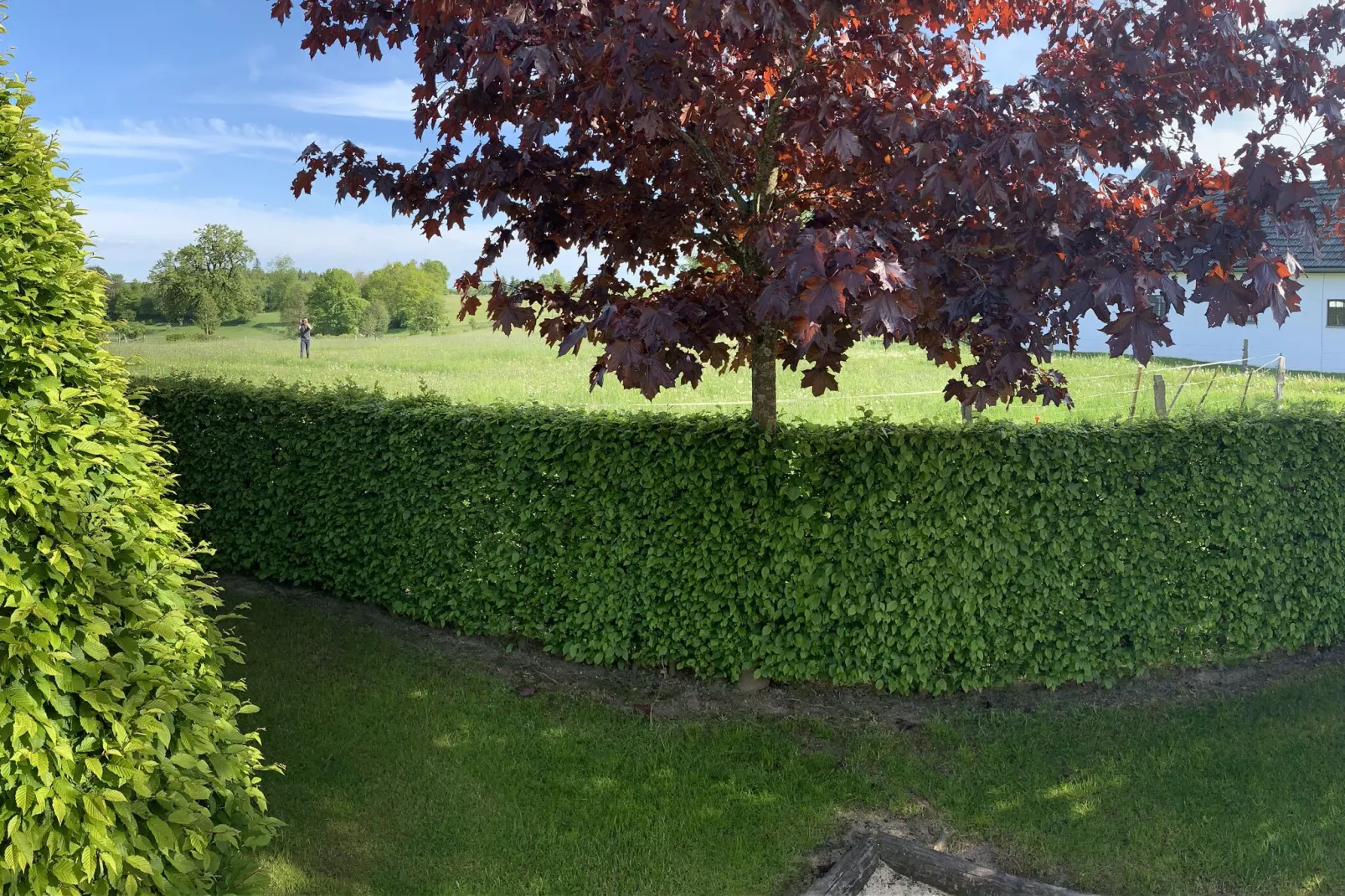La Fagnardise-Exterior summer