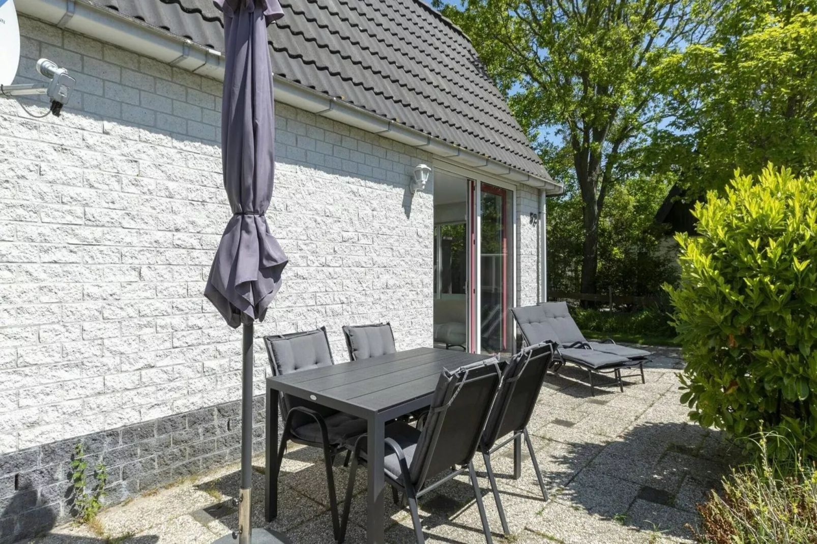 Campanula 52-Exterior summer