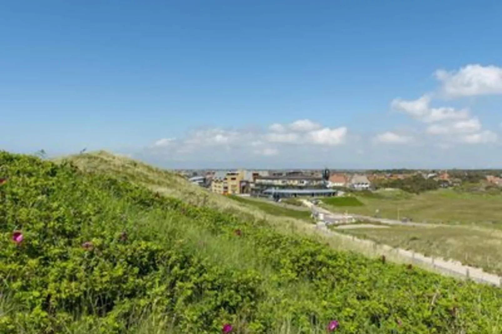 Wijde Blick 201-Areas summer 5km